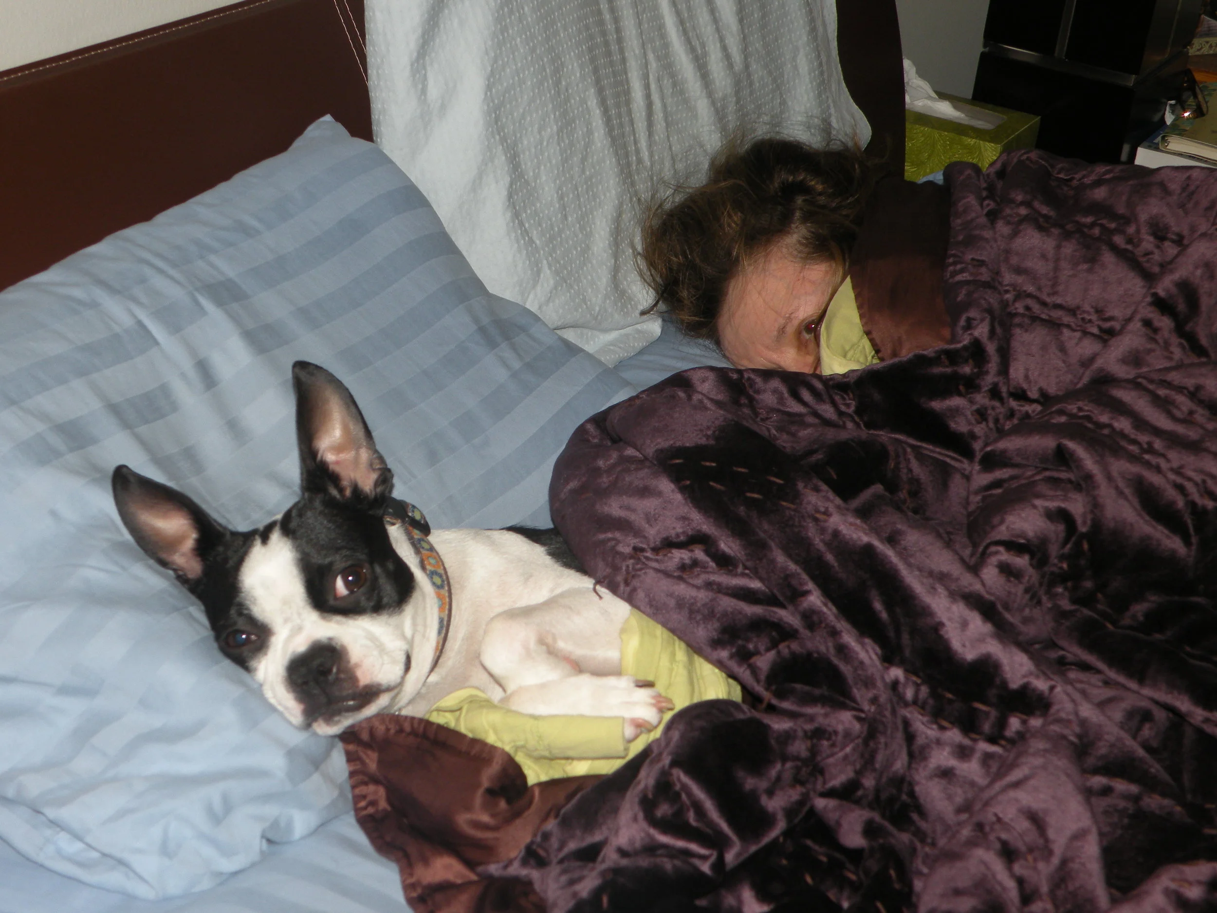 Pet Parenting: The “Mother Lode”