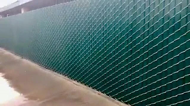 The Fate of San Bernardino City’s Shelter Animals Is In Voters’ Hands