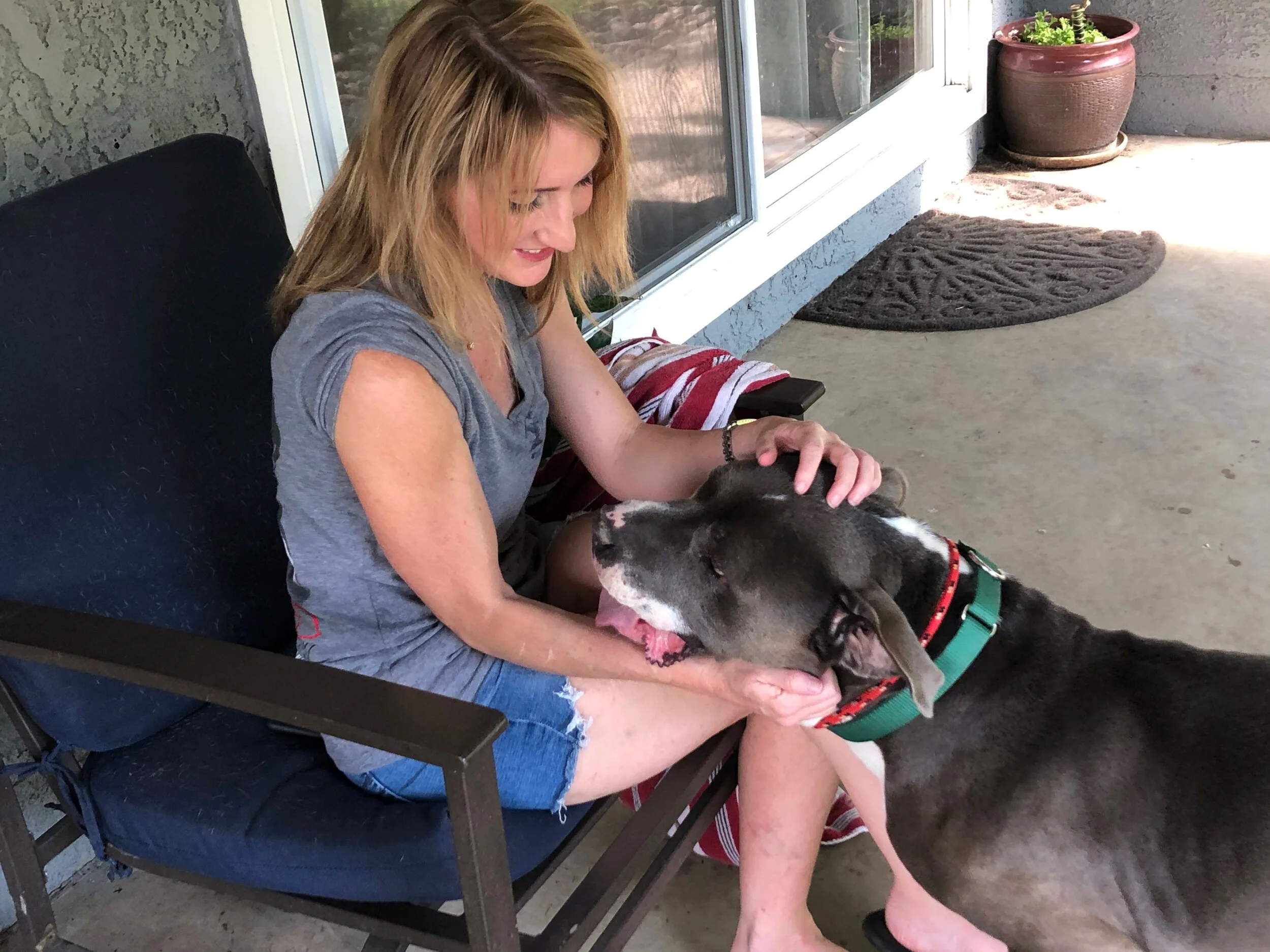 Amidst Anger and Despair, More Reasons to Be Grateful Because of Our Pets