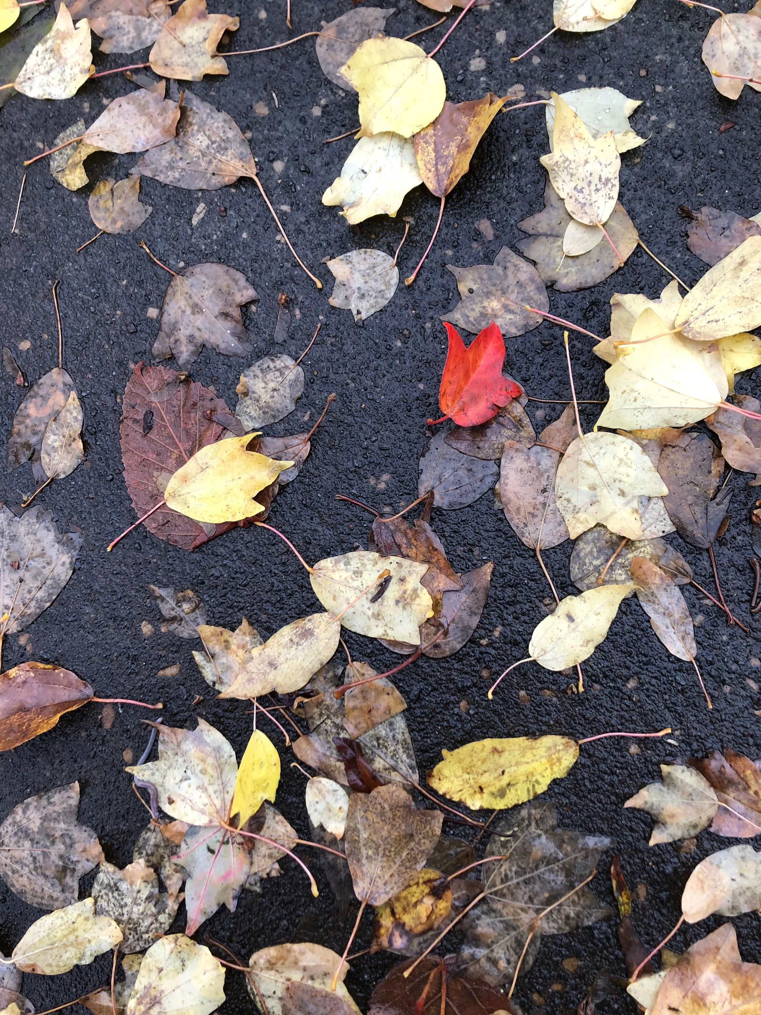 Turbulent Rescue Unearths Childhood Memory