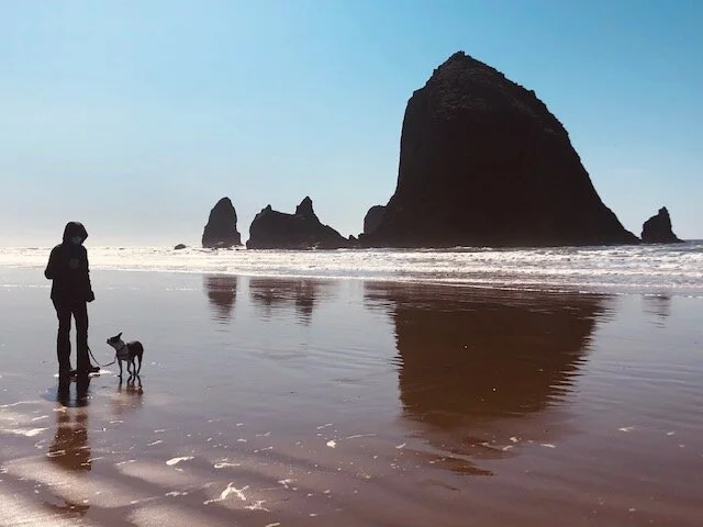 Dog Evokes Childhood Wonder in One Aging Man
