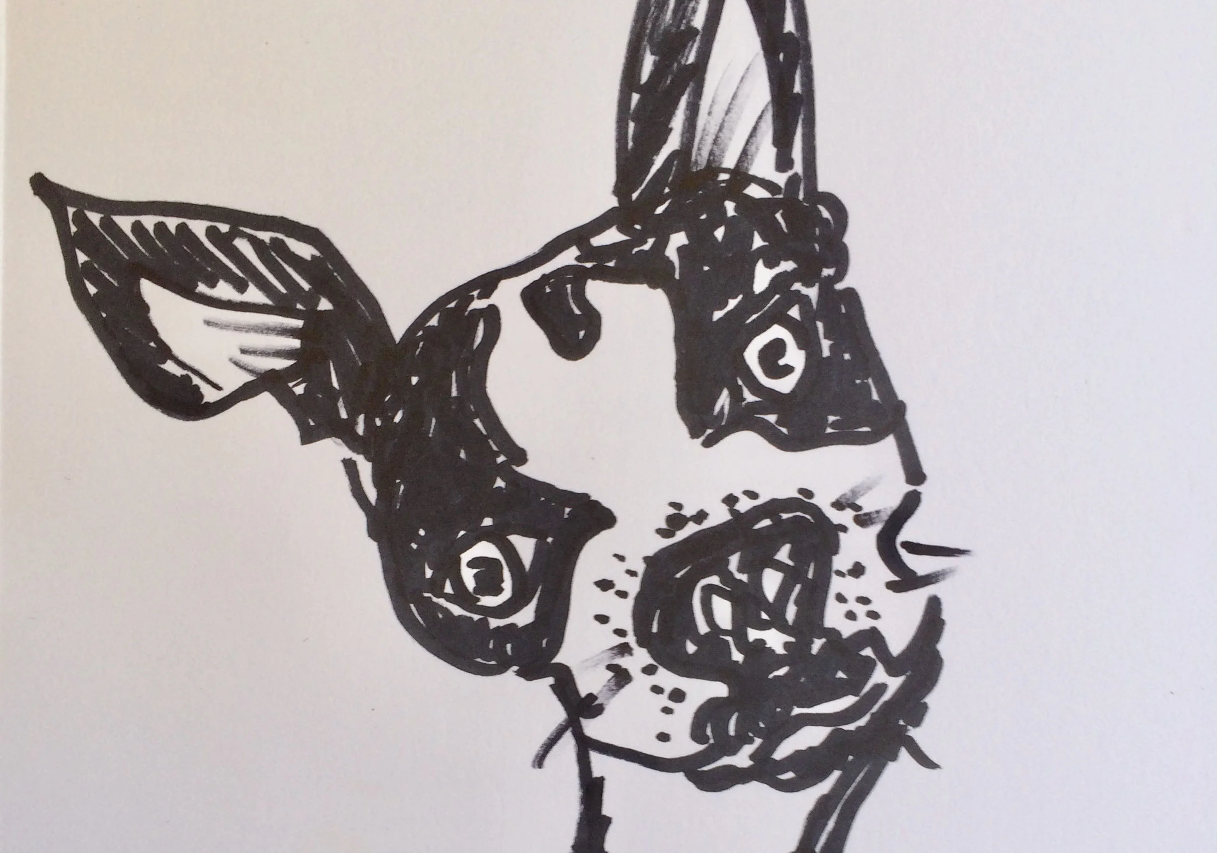 Mother’s Day Letter from Our Doggie Daughter