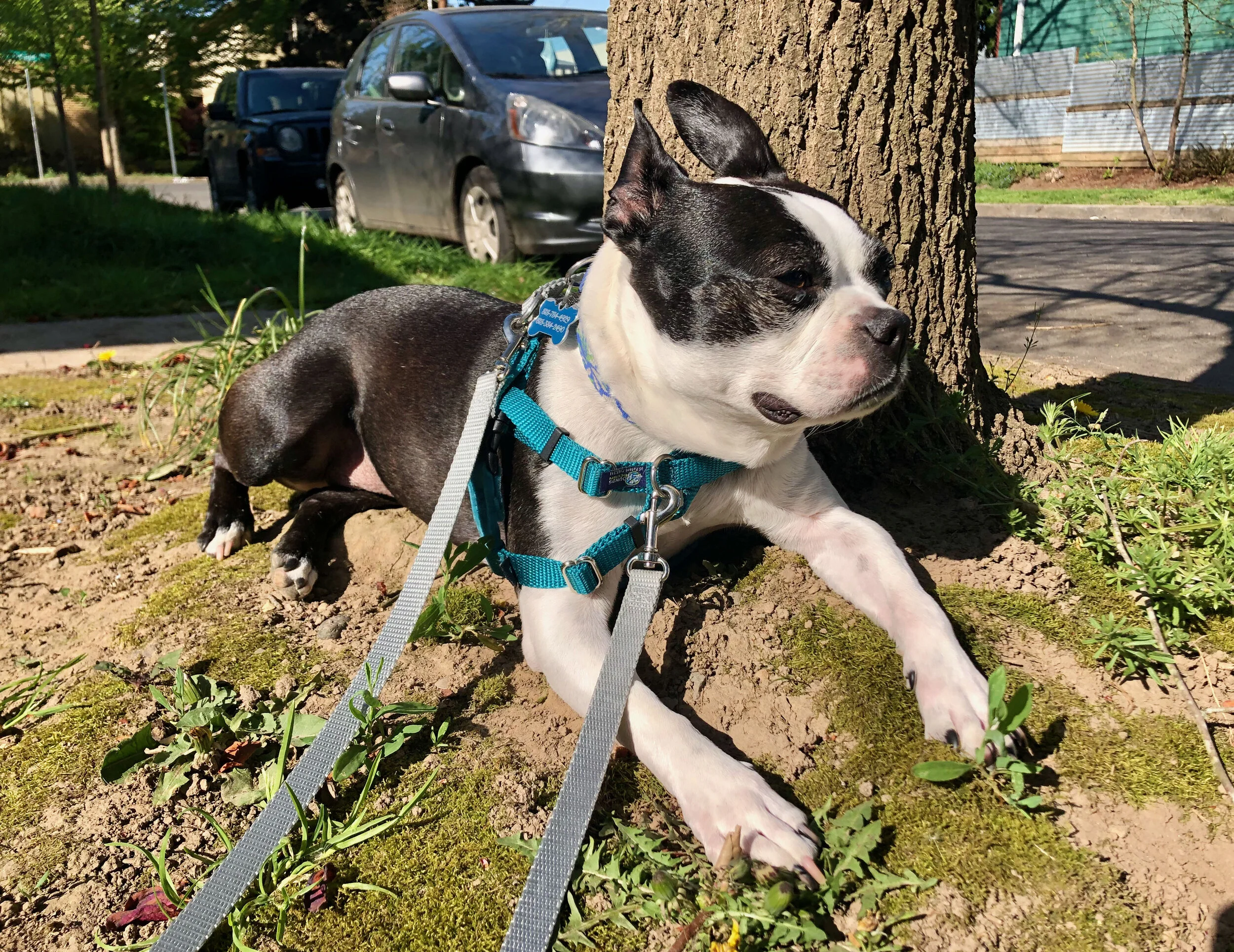 Can’t She Just Get Along Part XIV — Facing Psychotropic Meds (1)