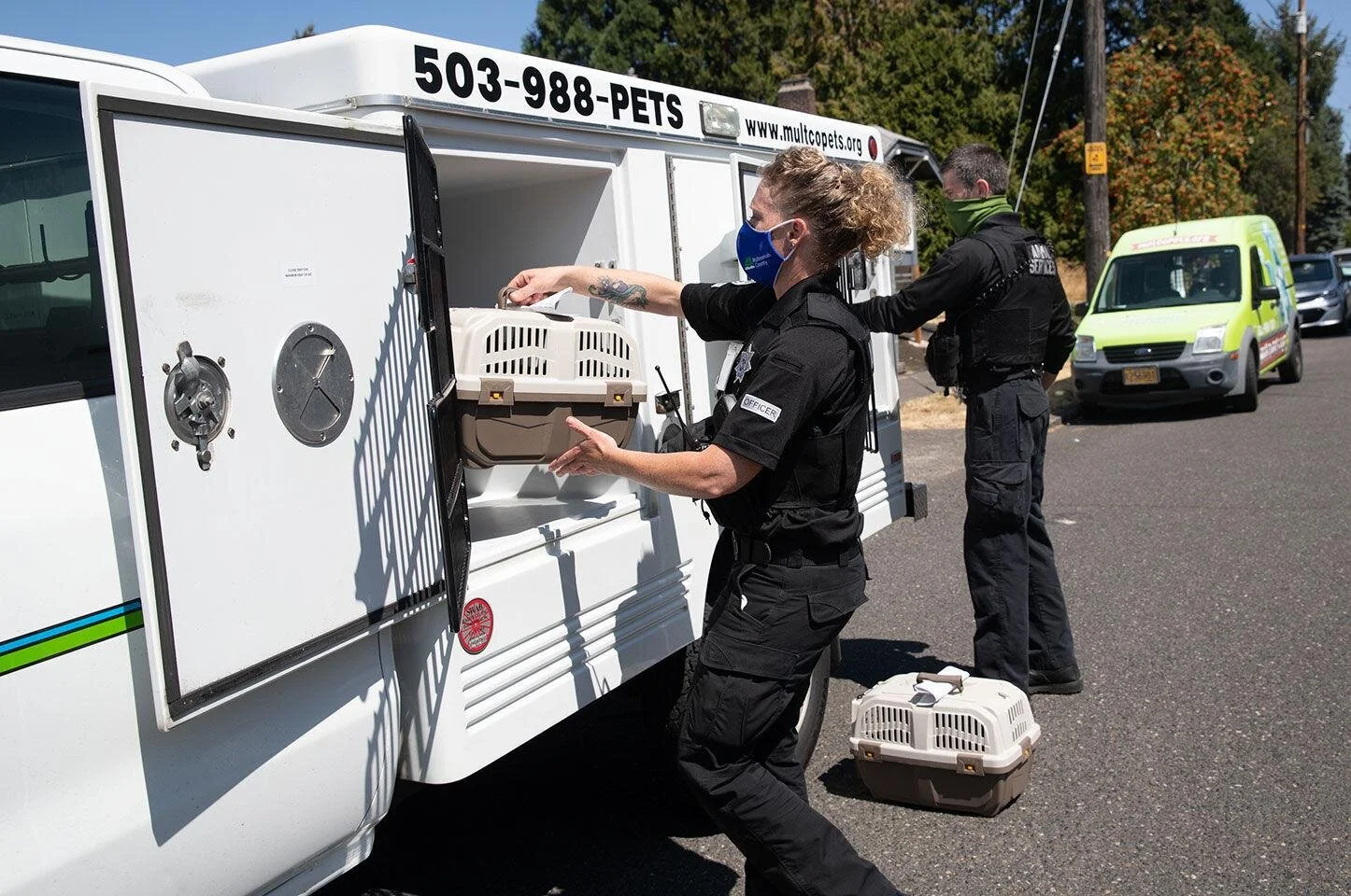 Pets Seized from Scam Rescue in Multnomah County Up for Adoption