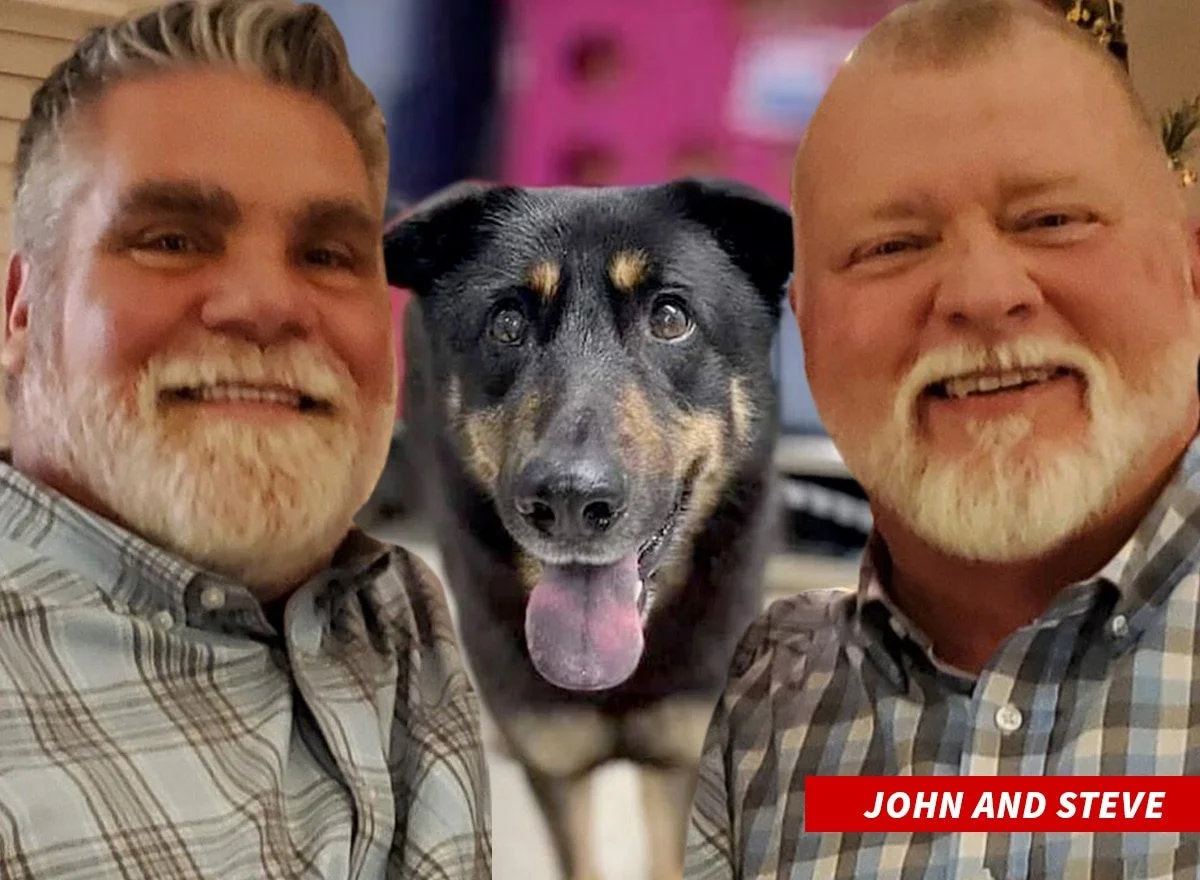 Can Pets Be Gay? Does it Matter?