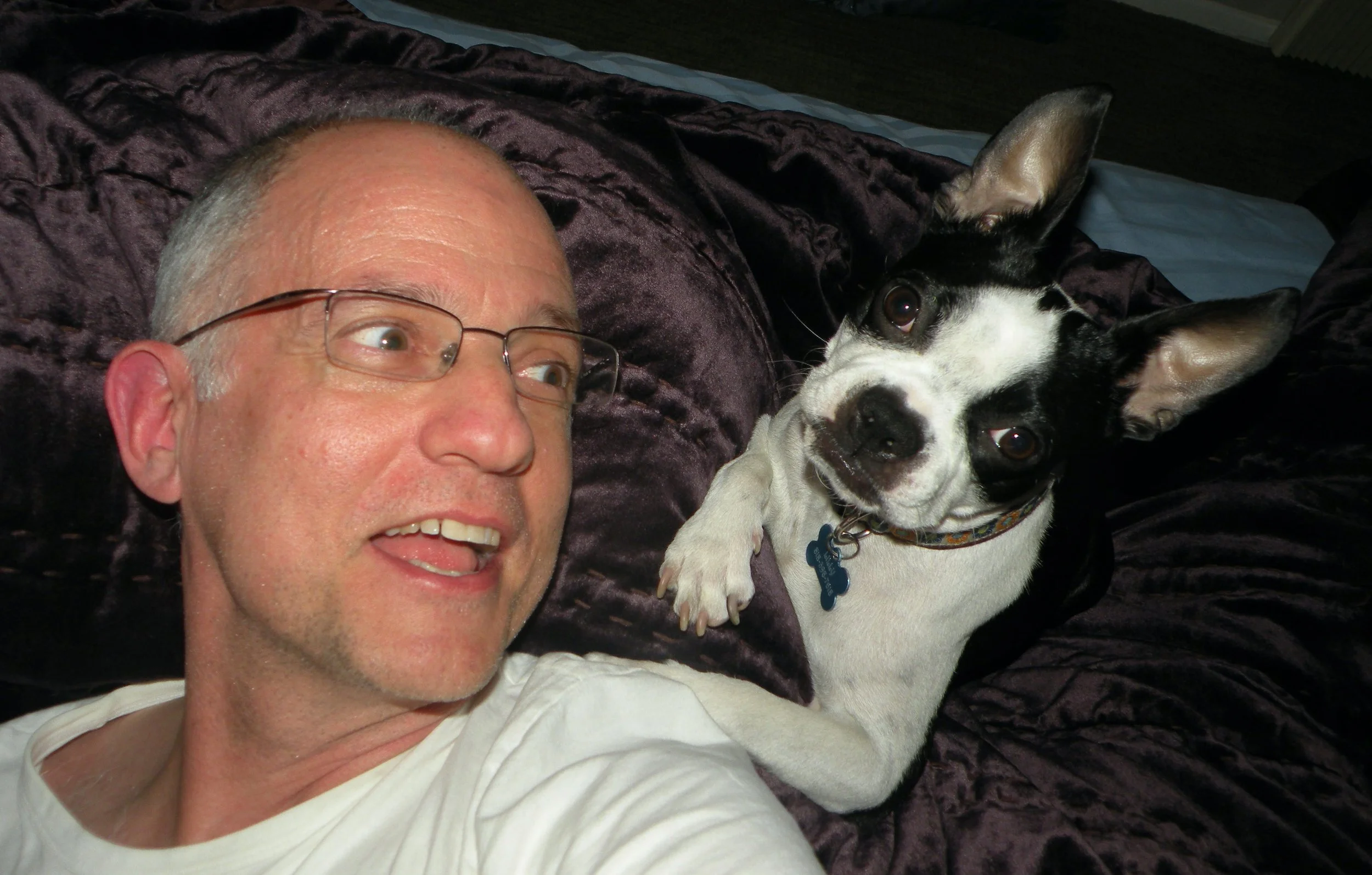 Fur Child Day at the Office