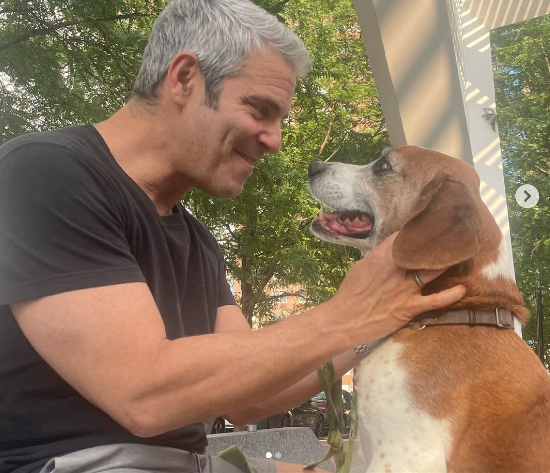 Reality T.V. Mogul Shares Pain, Success in Pet Re-Homing