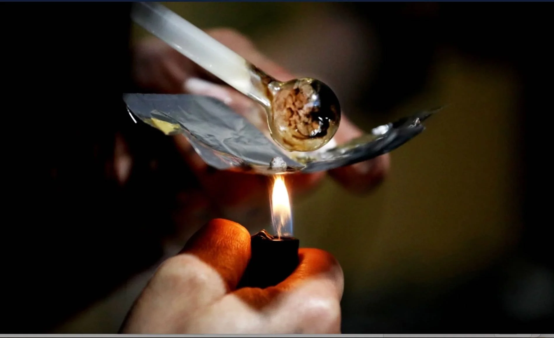 Portland Dogs Hospitalized by Fentanyl Poisoning