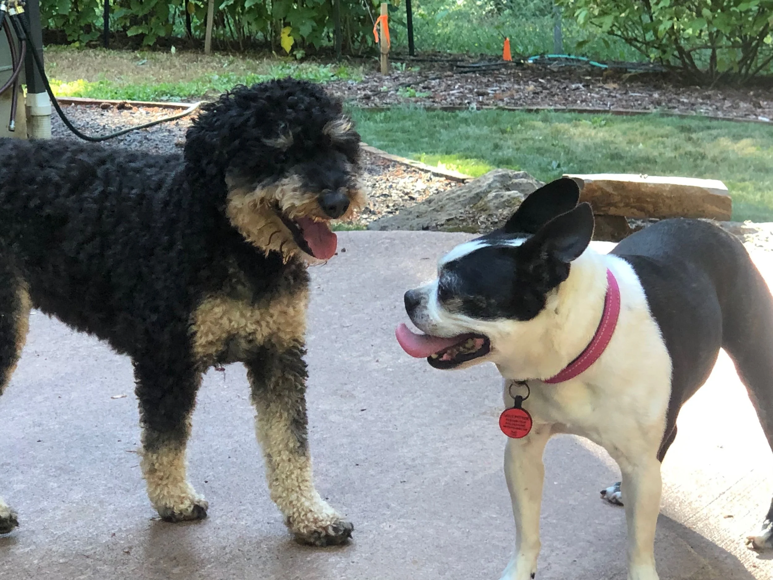 Can’t She Just Get Along Part XV — Snapping the Tethers