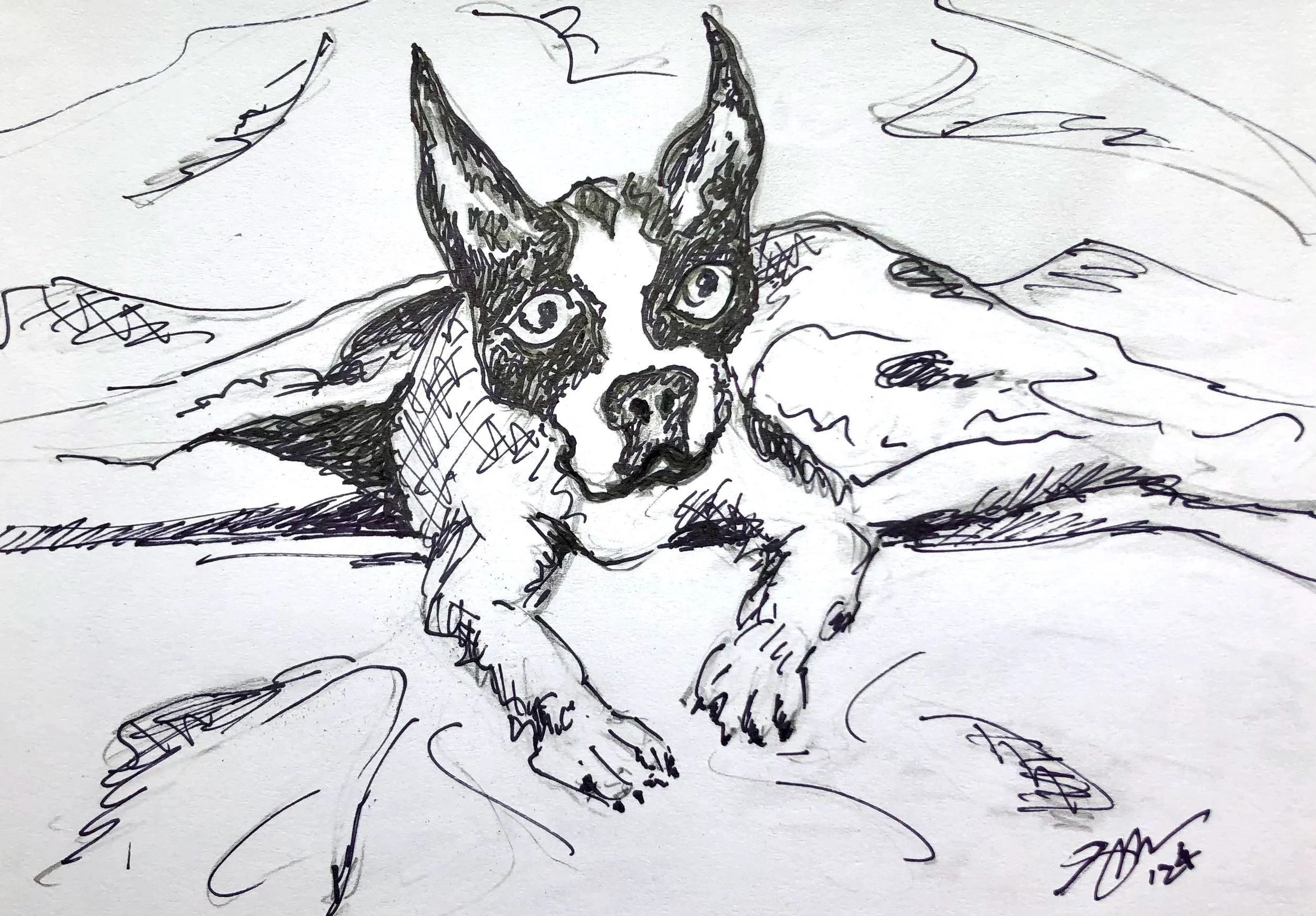 Dog Teaches Us the Art of Waiting