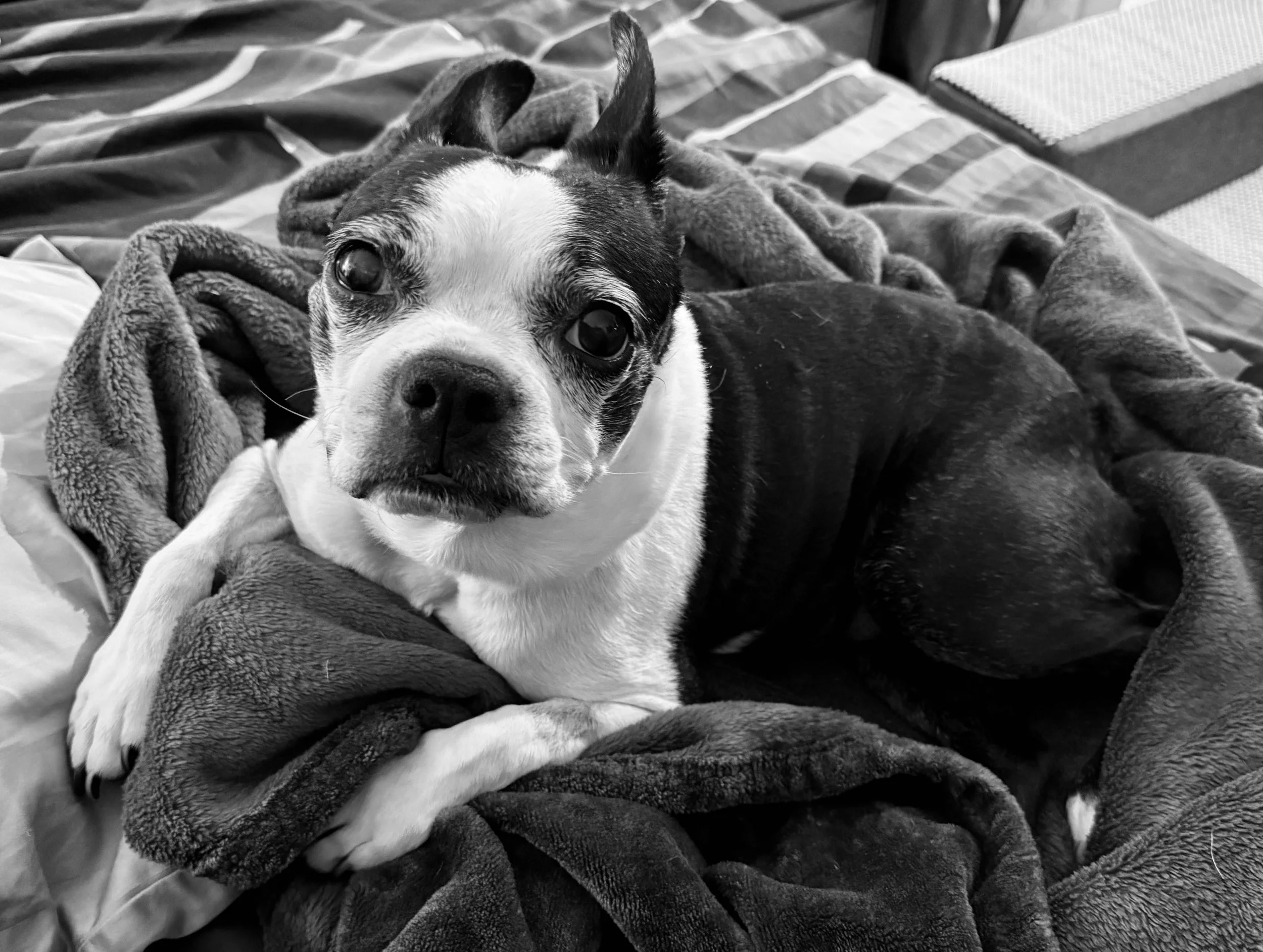 Lilly’s Diagnostic Journey: Part IV — Rethinking Winners and Losers