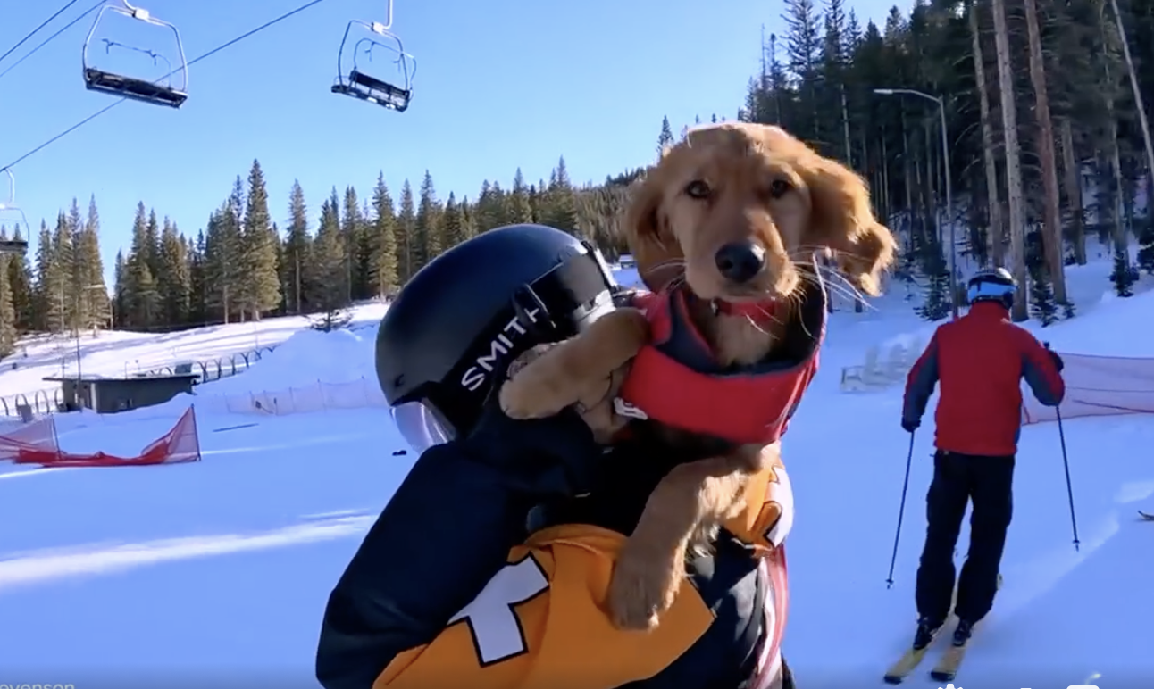 Benji, the Hopeful Avalanche Rescue Dog, Finds His Chops