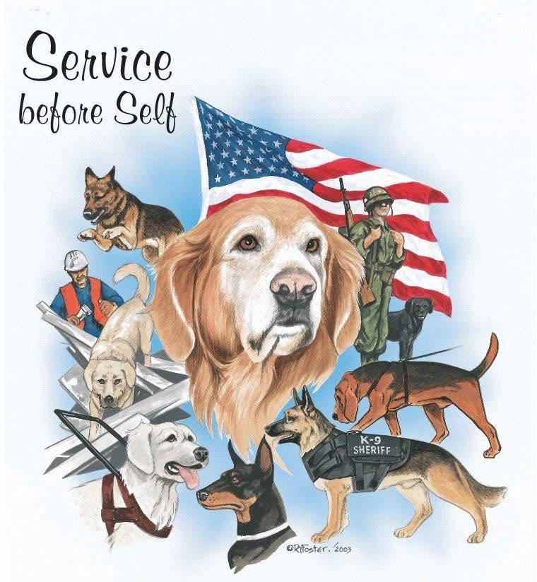 Remembering Bear, a Canine Hero of 9/11
