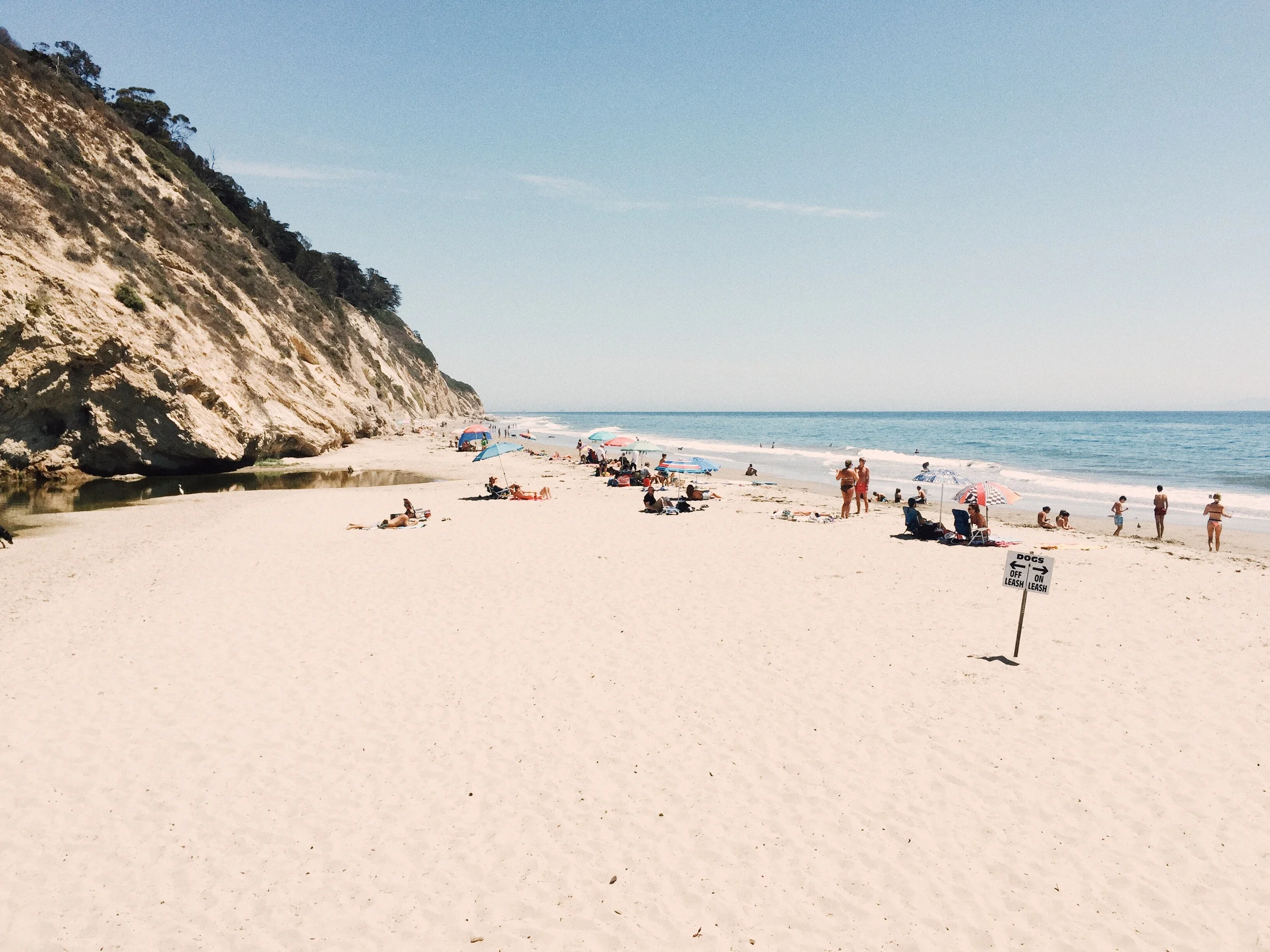 Santa Barbara dog beach vibes, August '15 