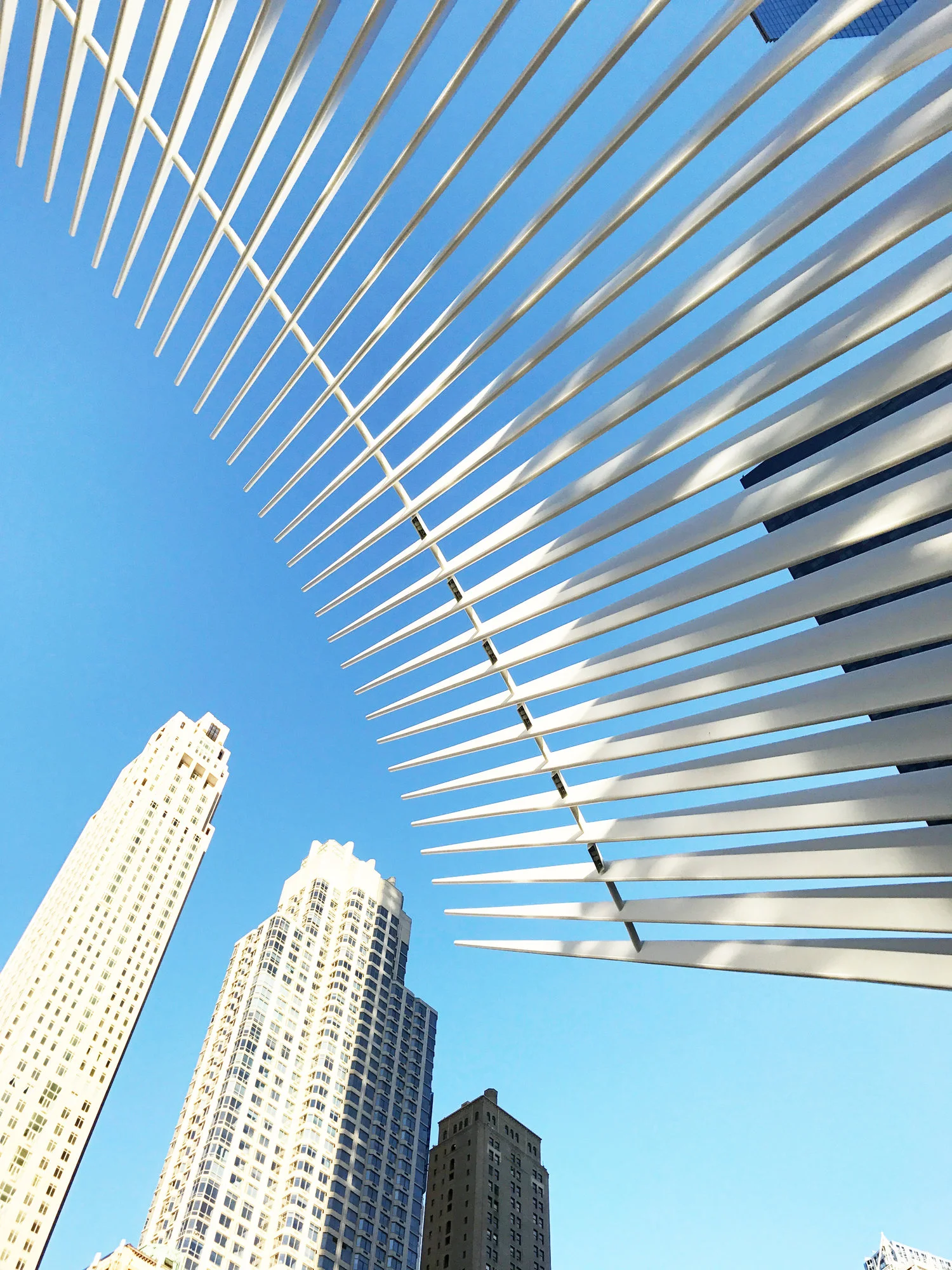 Oculus