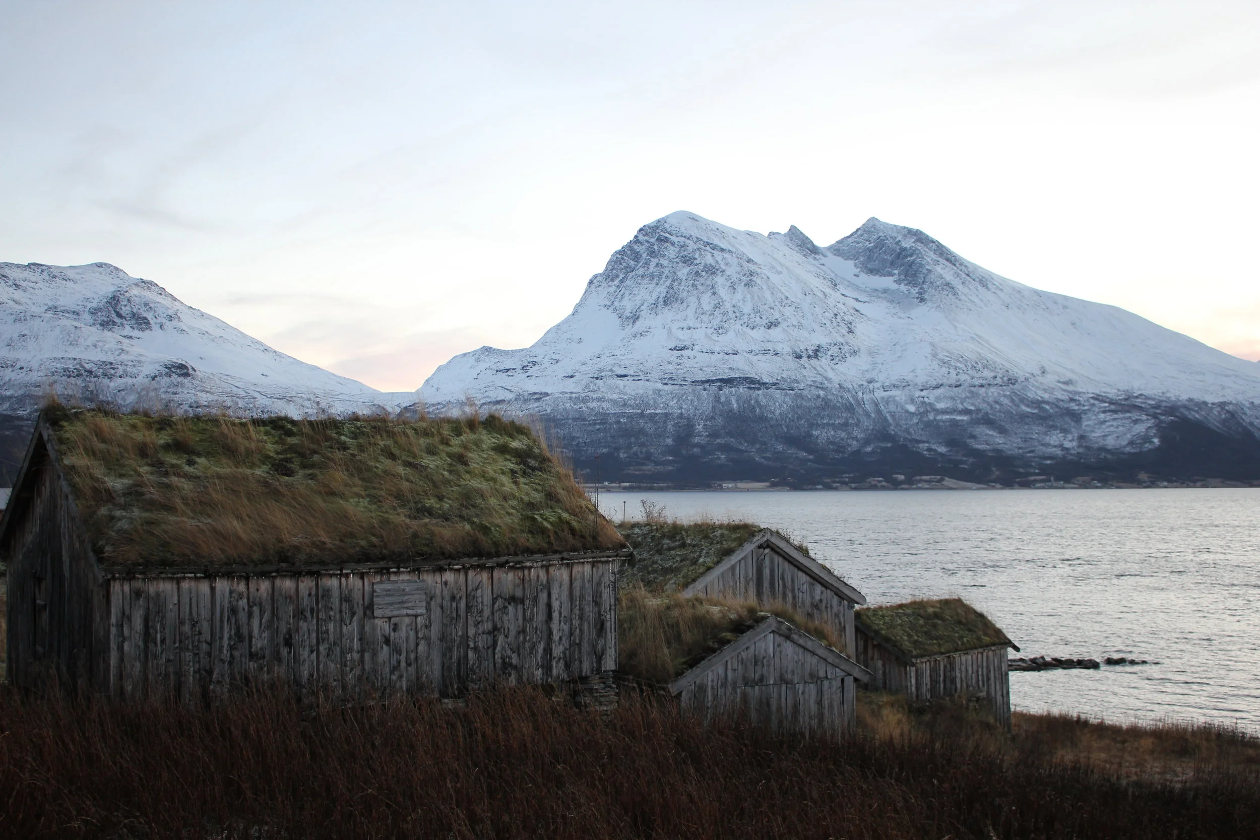 Fjords