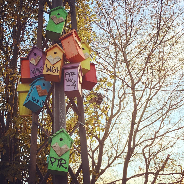 Tiny Houses for Tiny Birds