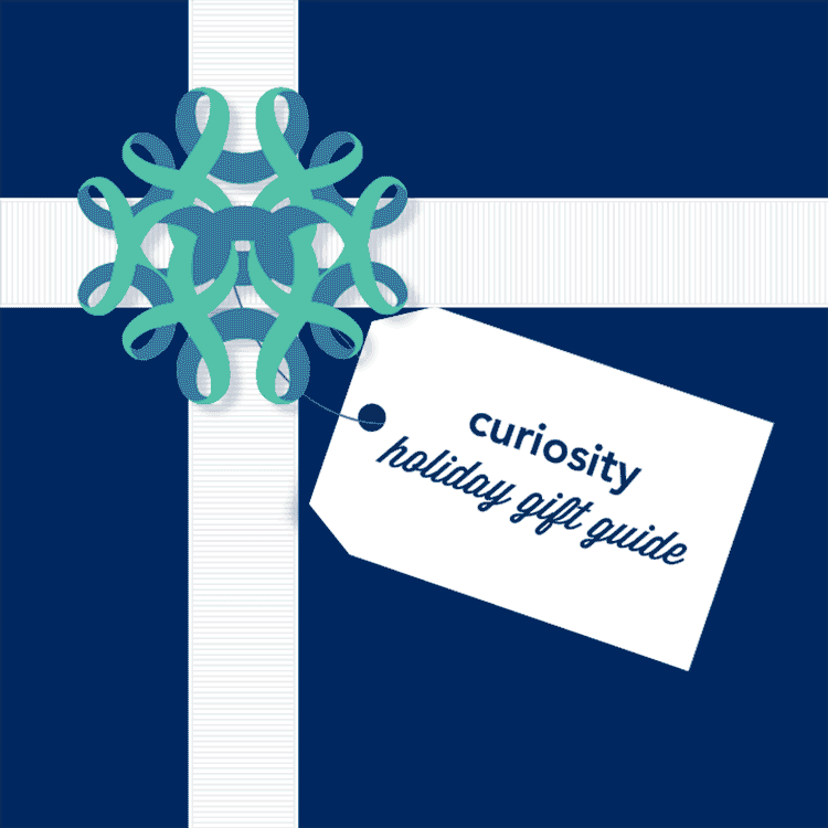 HOLIDAY GIFT GUIDE PROMO UNIT