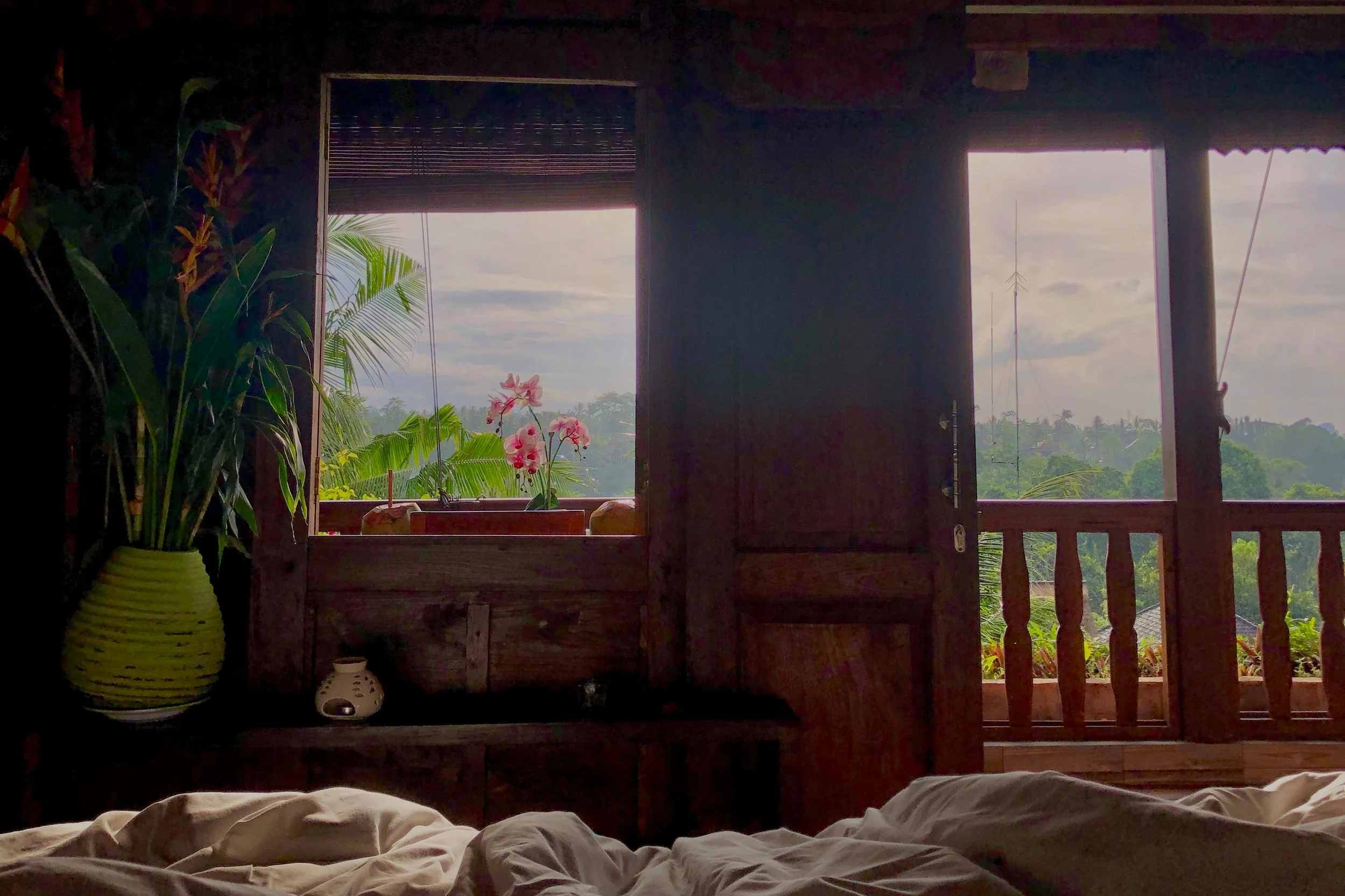 Morning views from my bed