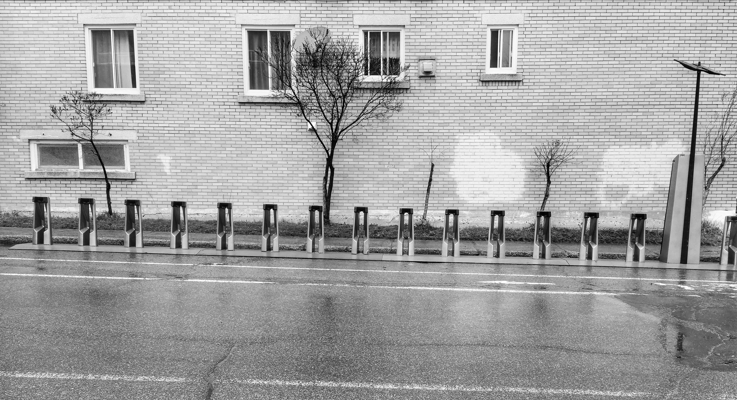 YMRuzilo--Bixi_2017.jpg