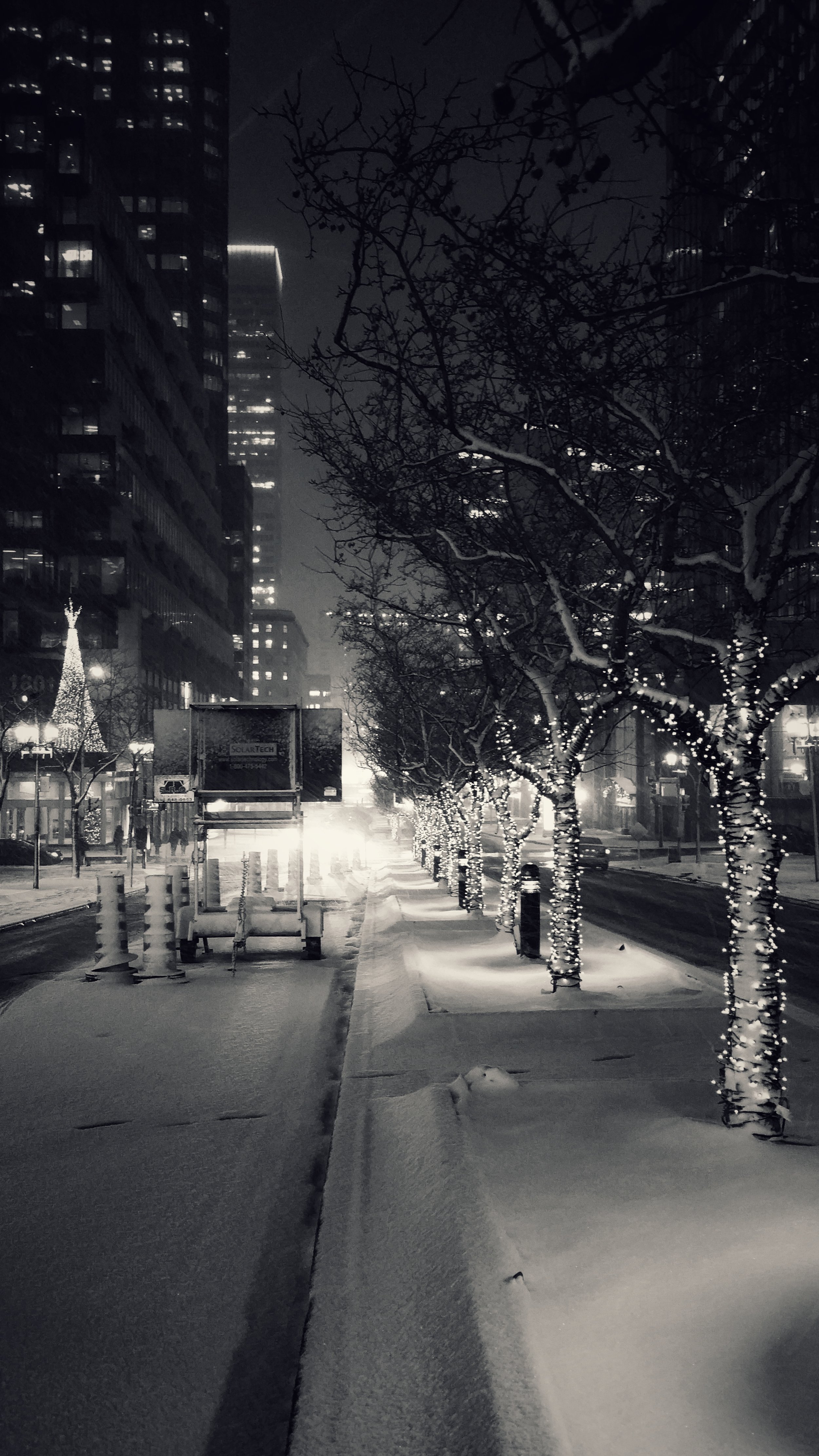 YMRuzilo--MontrealSnow_2016.jpg