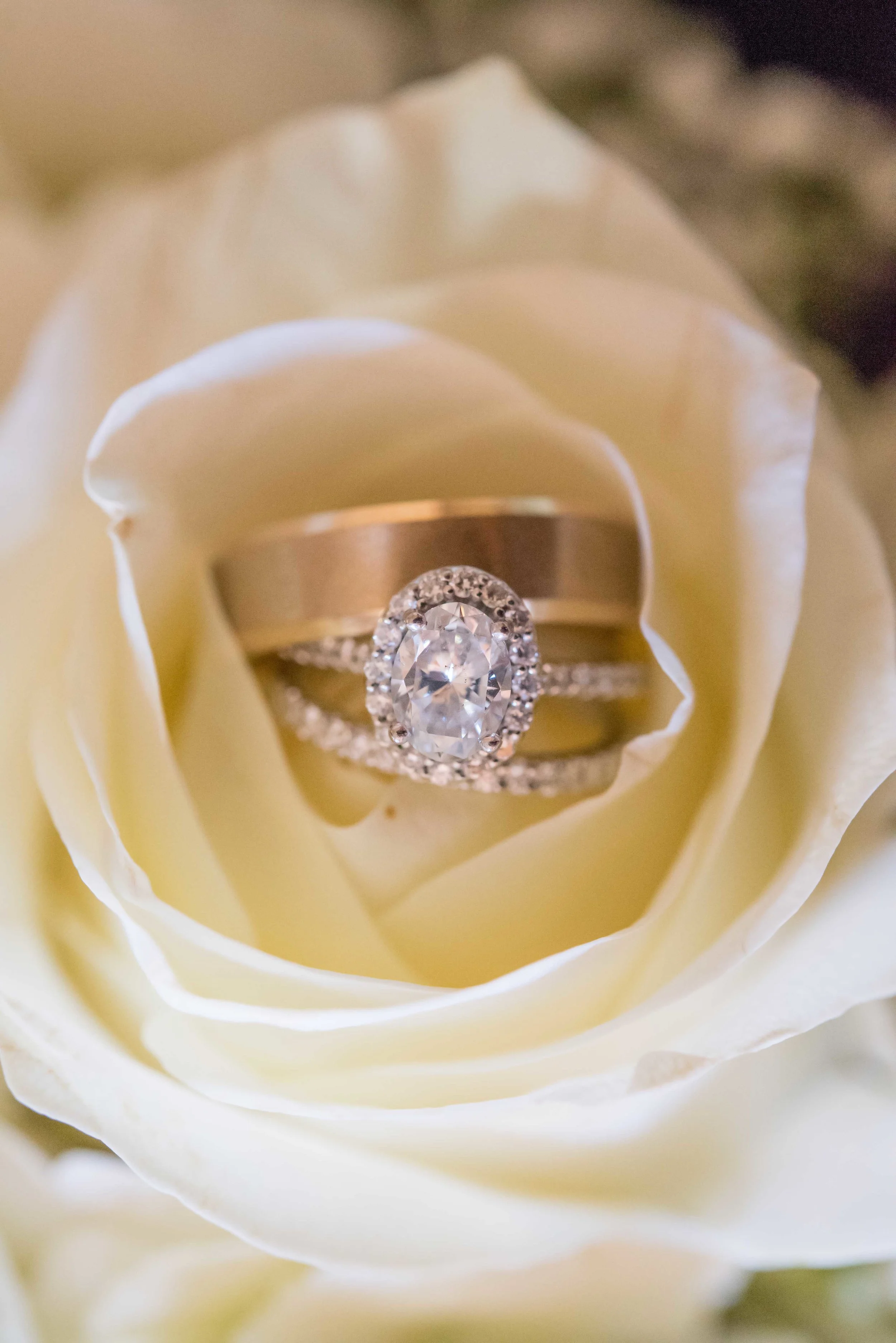 LaurenCheriePhotography__139.jpg