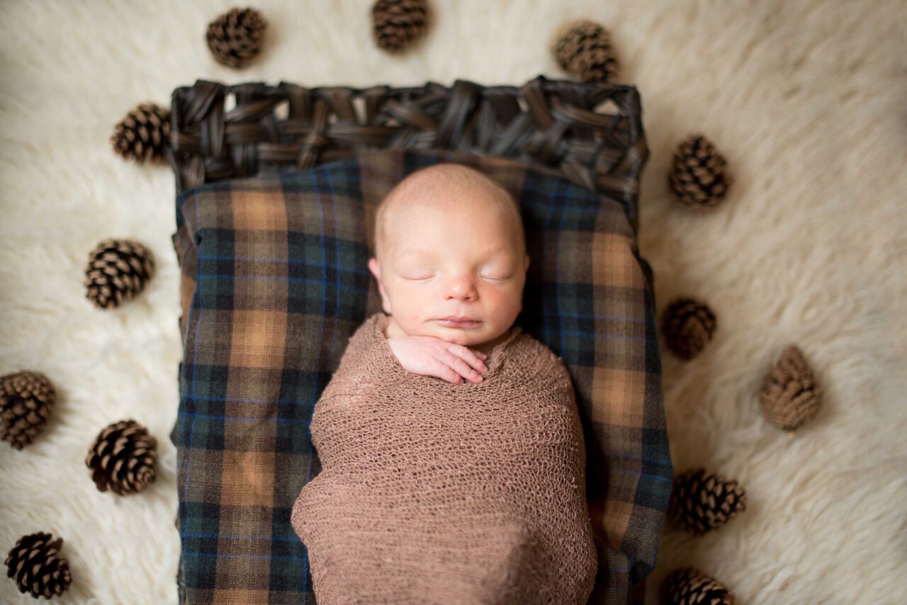 Newborn Photographer