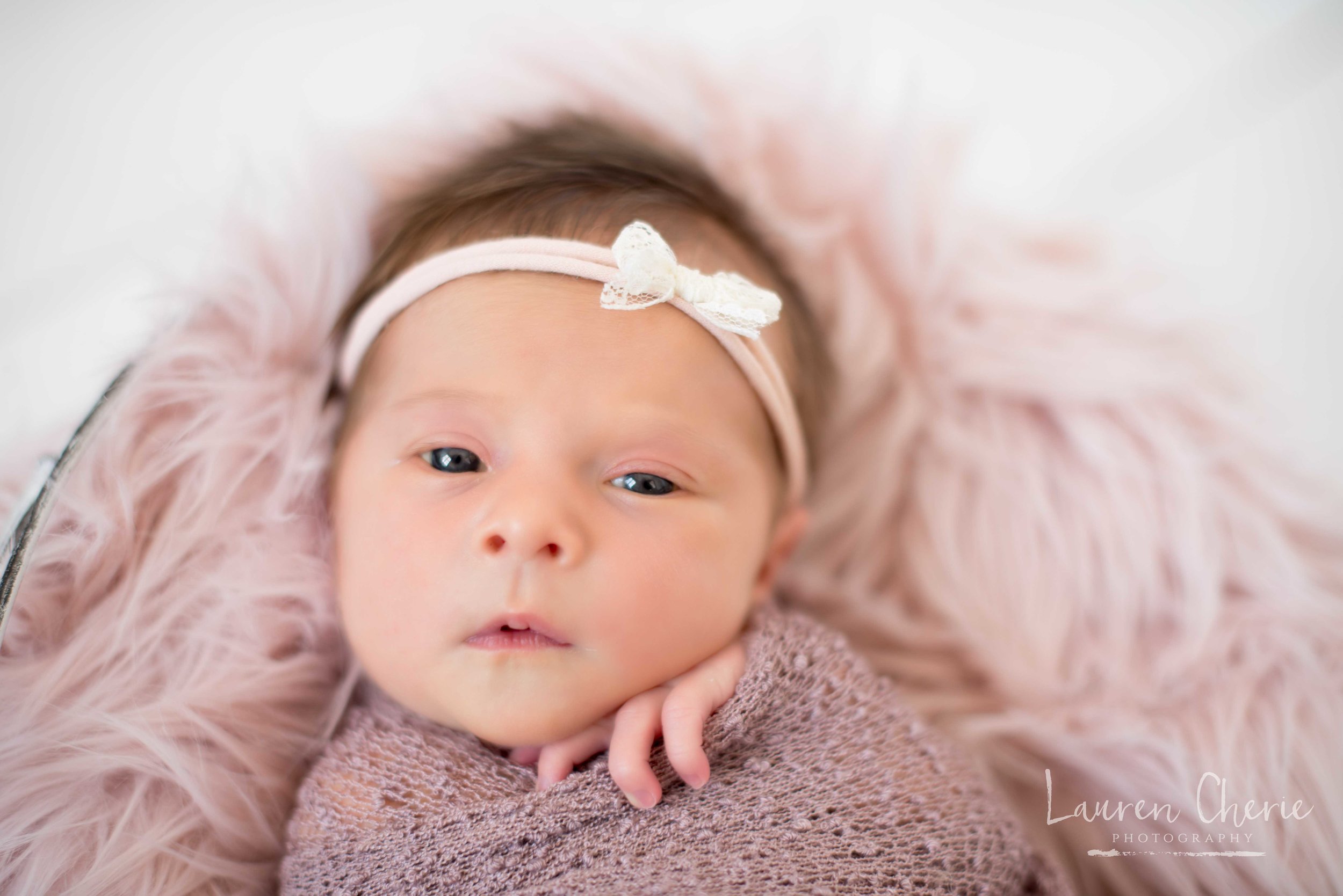 Newborn Photography 