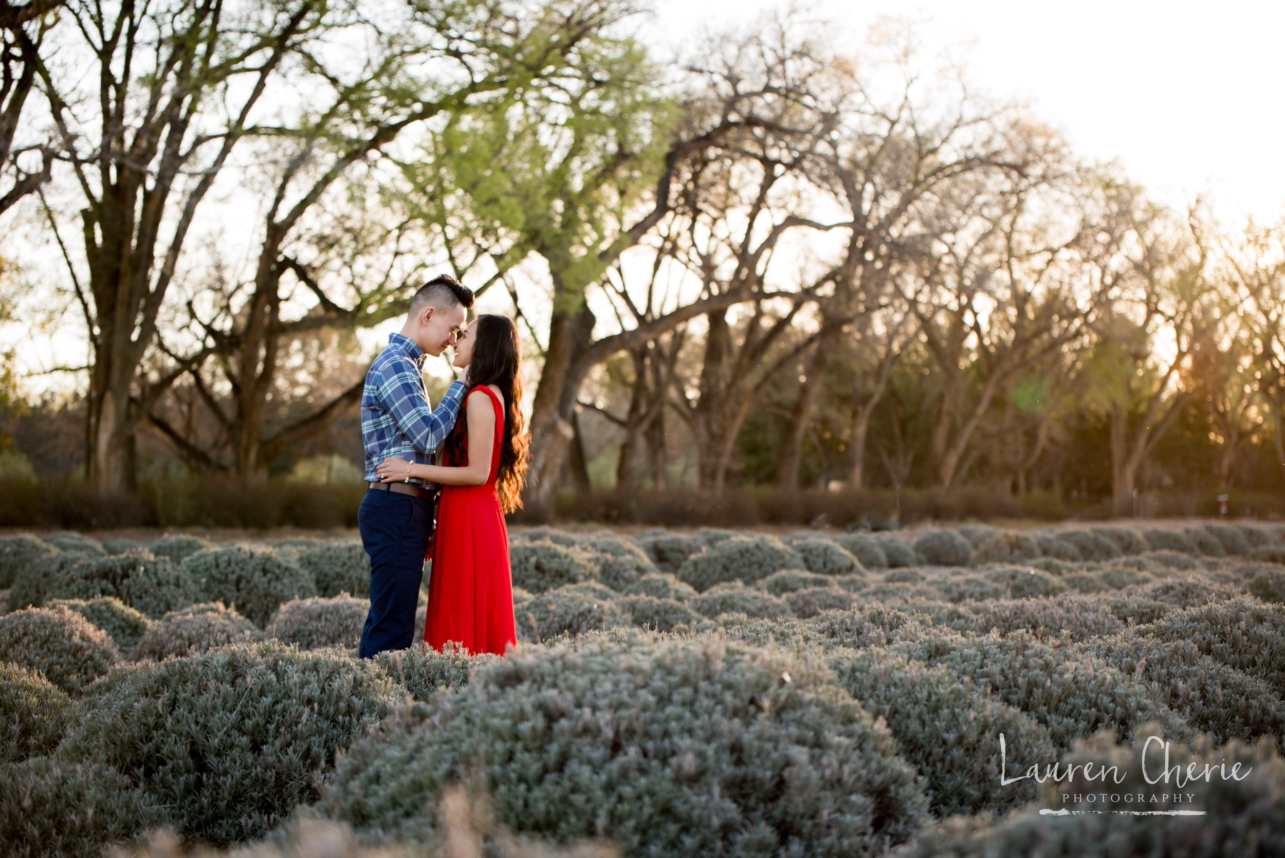 Engagement Photographer 