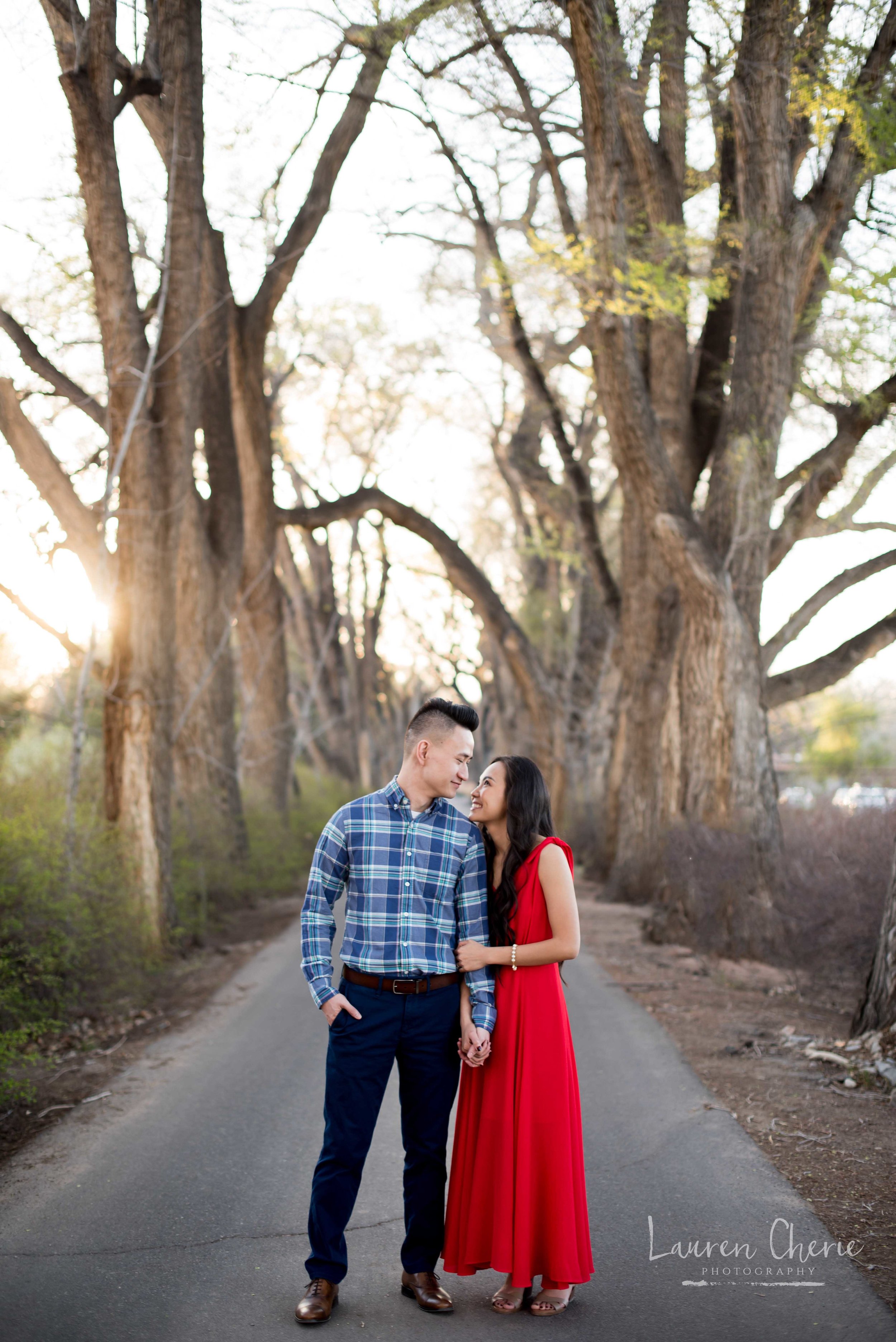 Engagement Photographer 