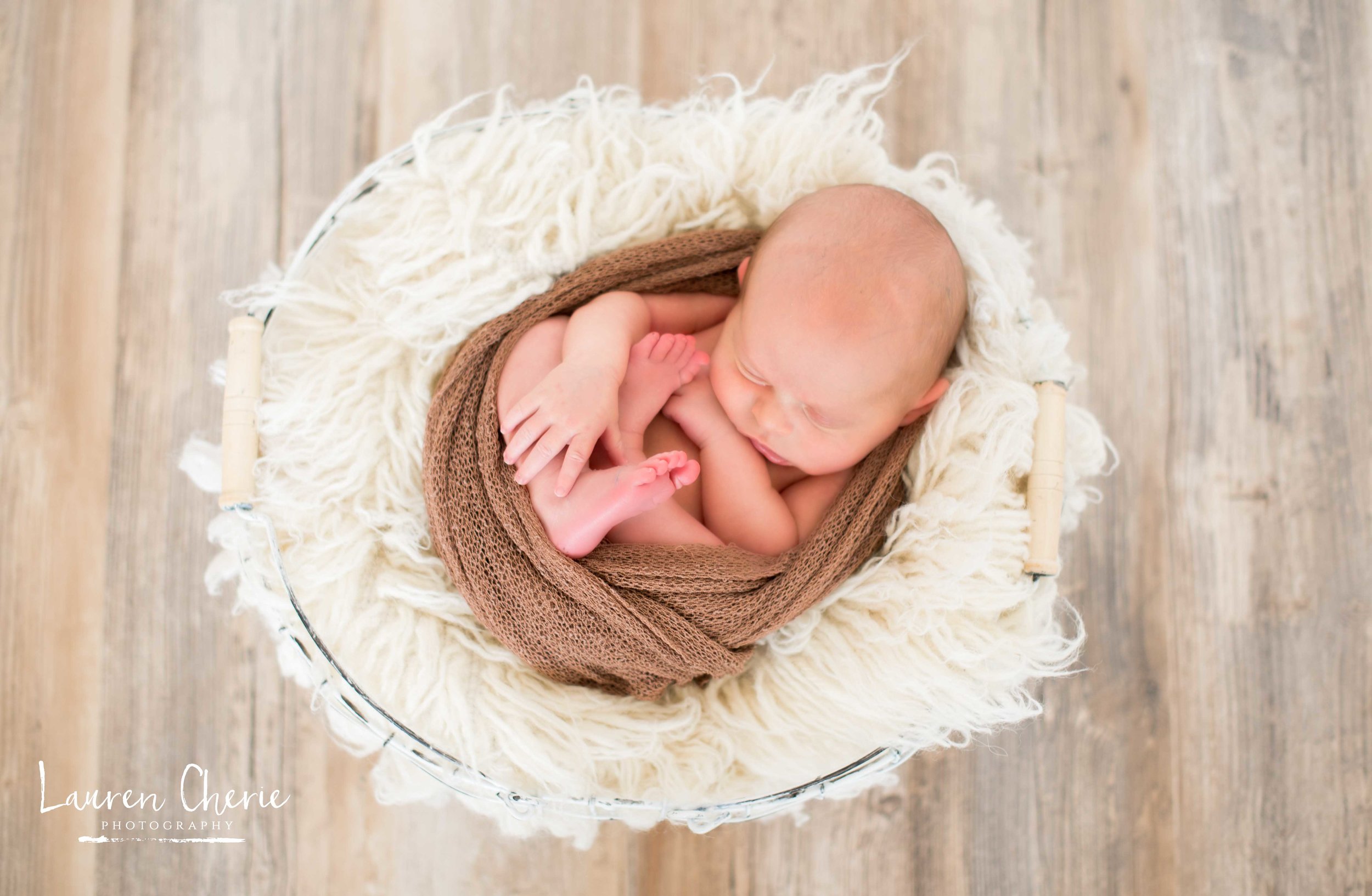 Newborn Photographer 