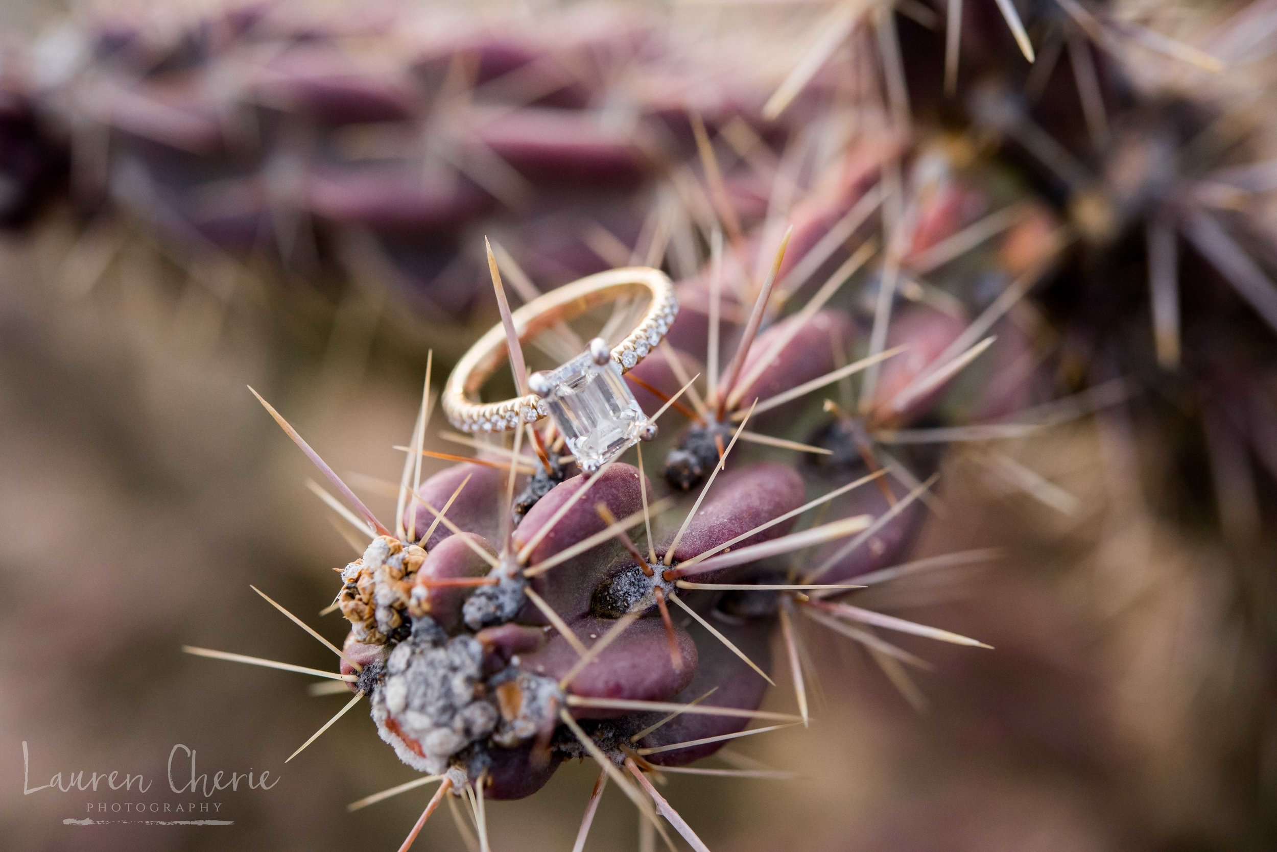 Engagement Photographer Albuquerque