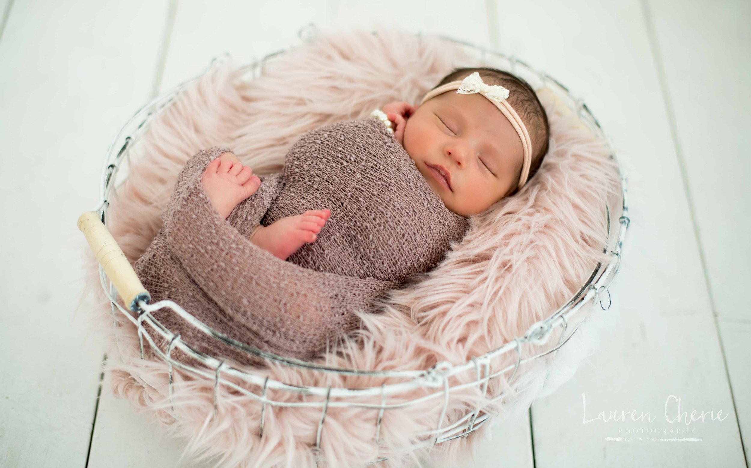 Newborn Photographer 