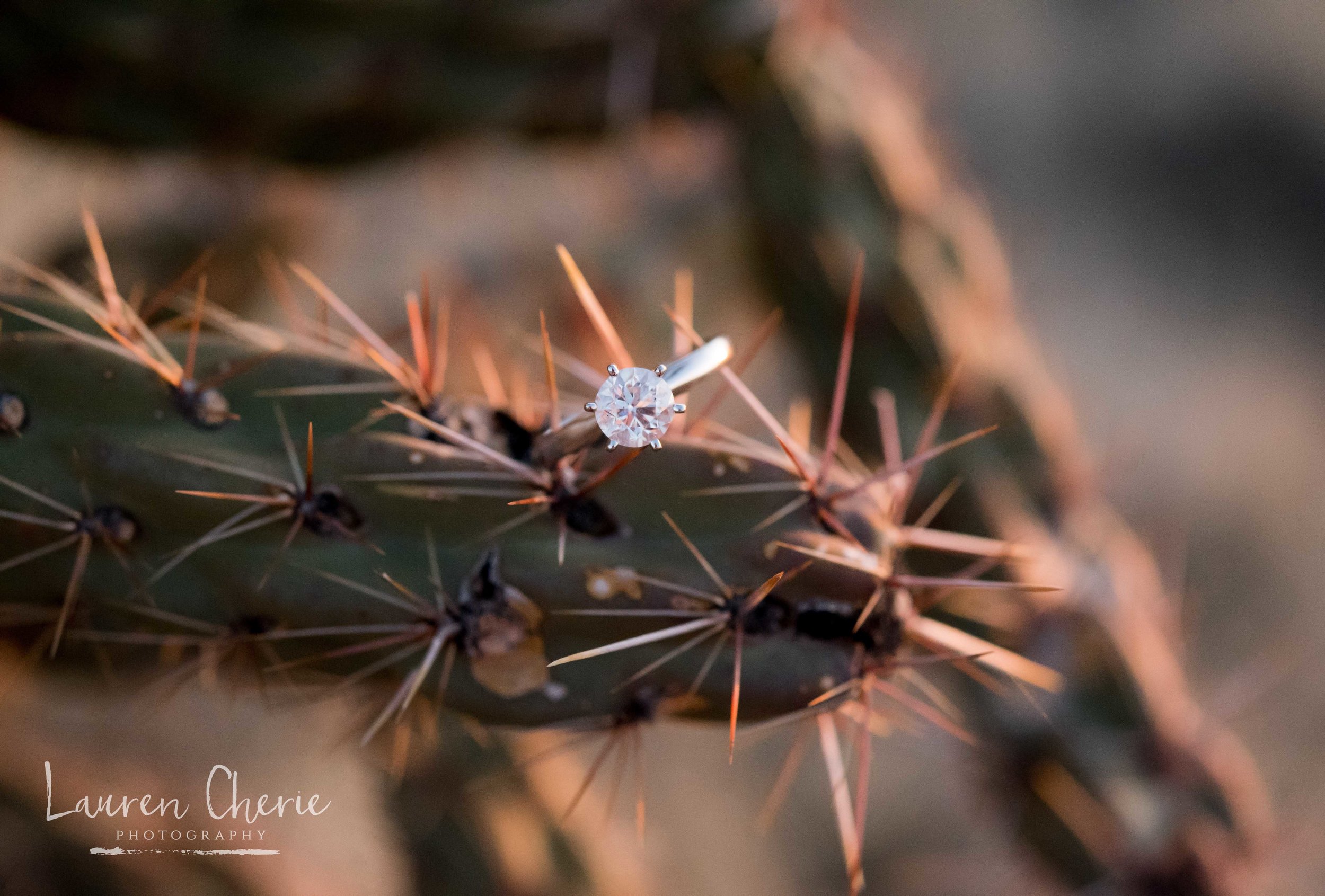 Engagement Photographer 