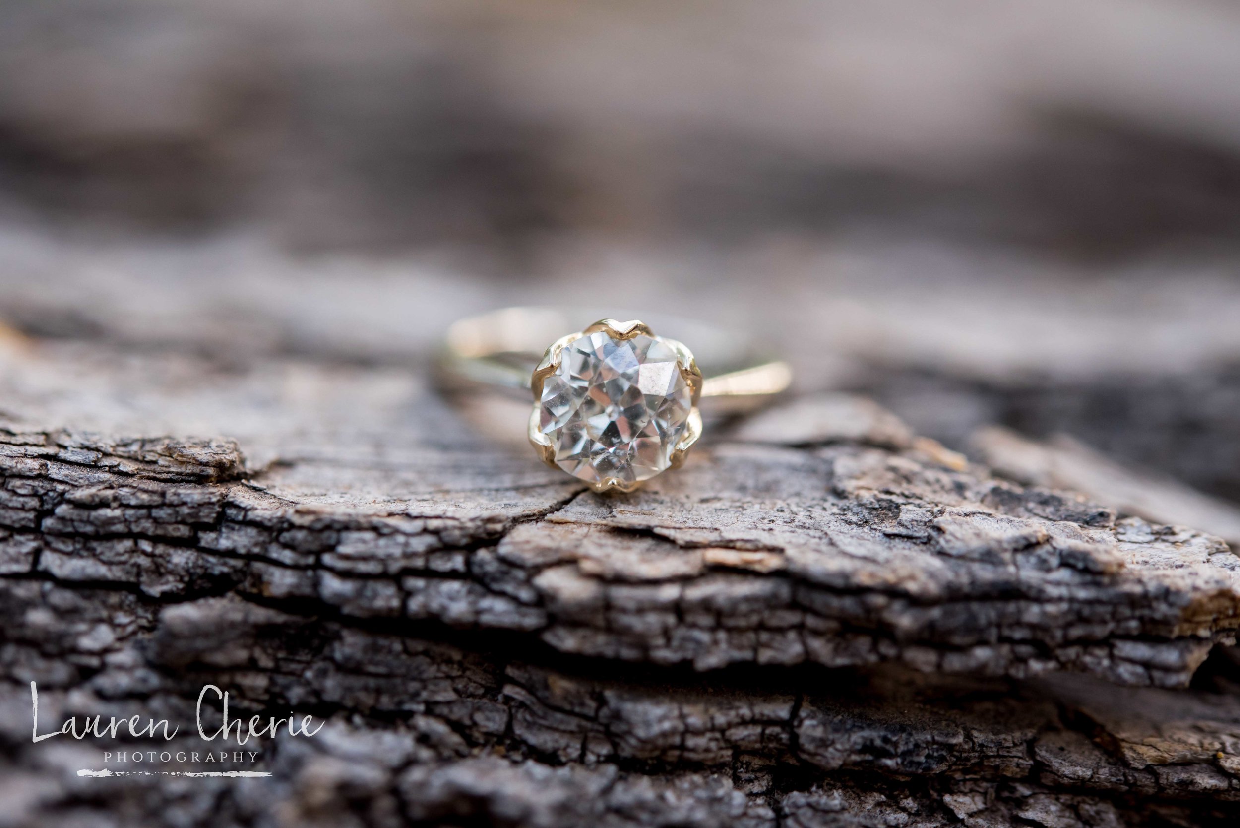 Engagement Photographer 