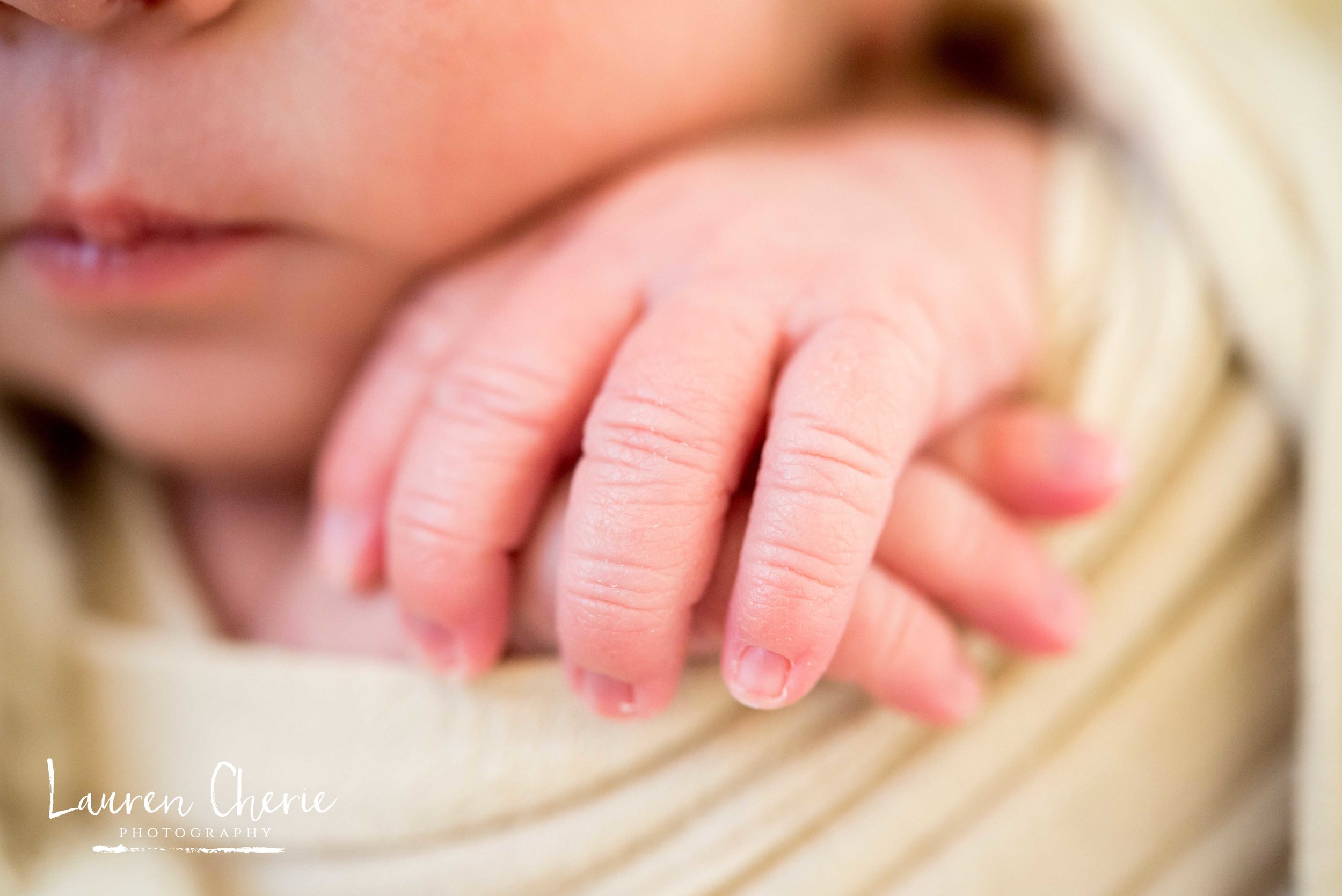 Newborn Photographer 