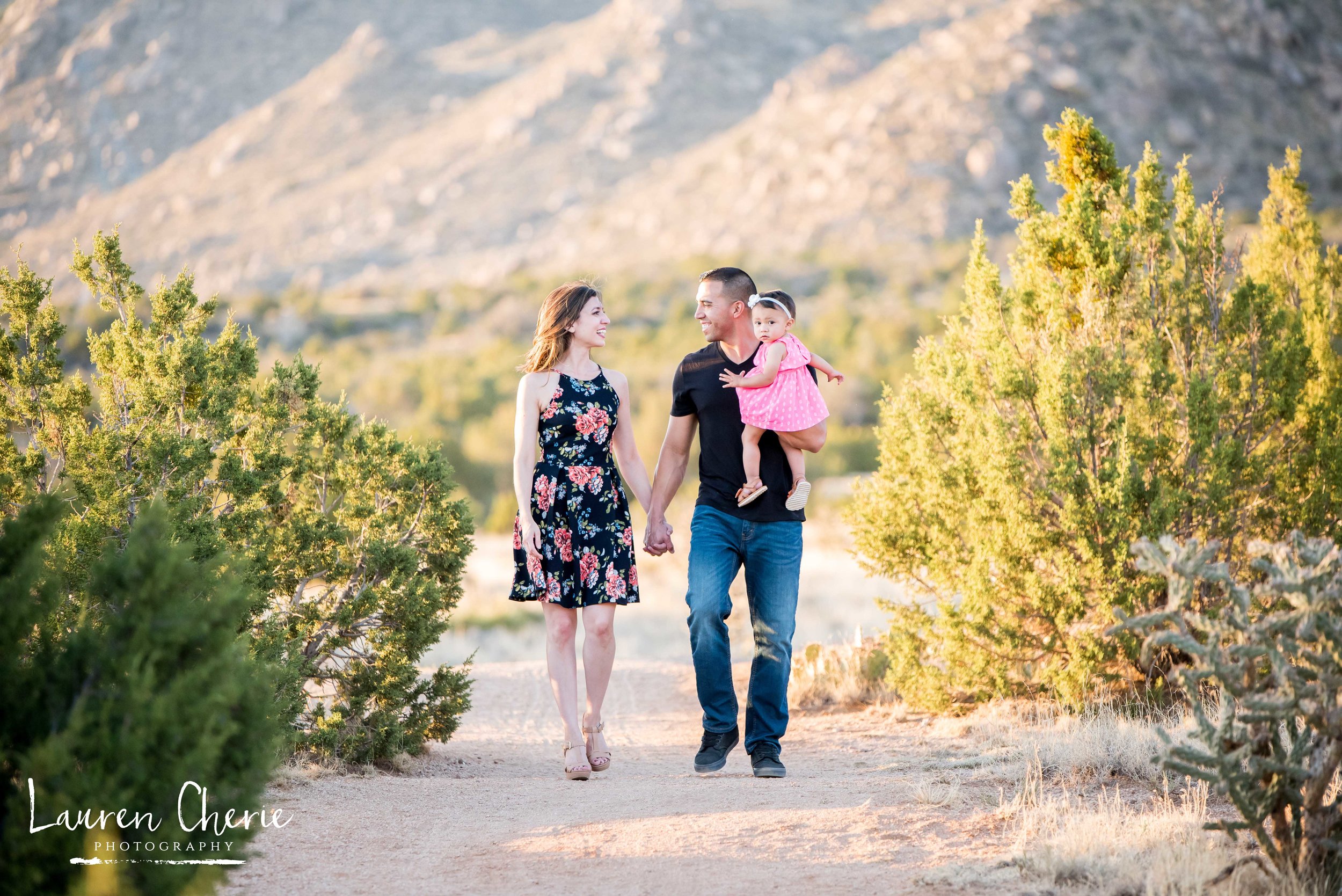 Engagement Photographer 