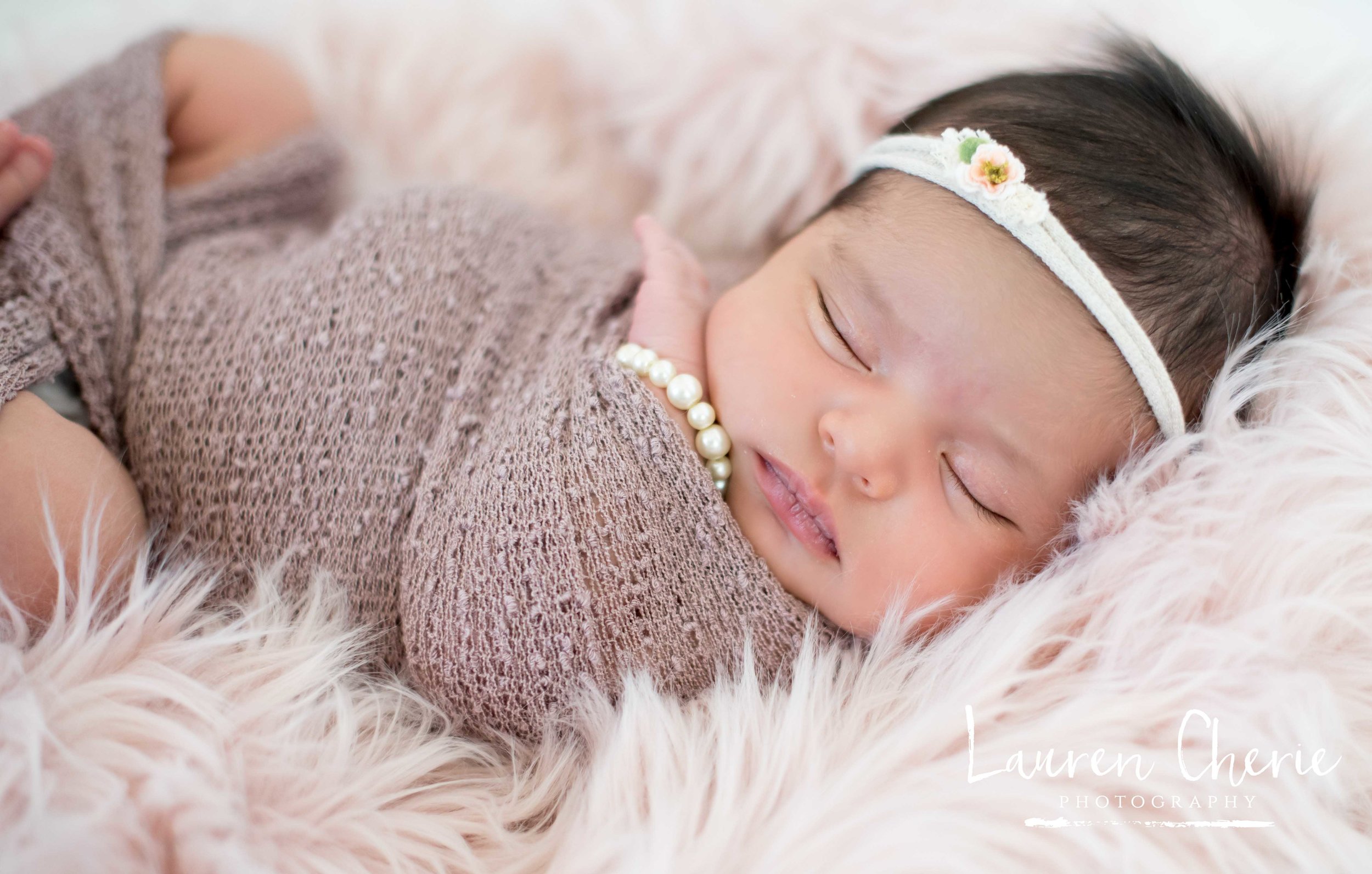 Newborn Photographer 