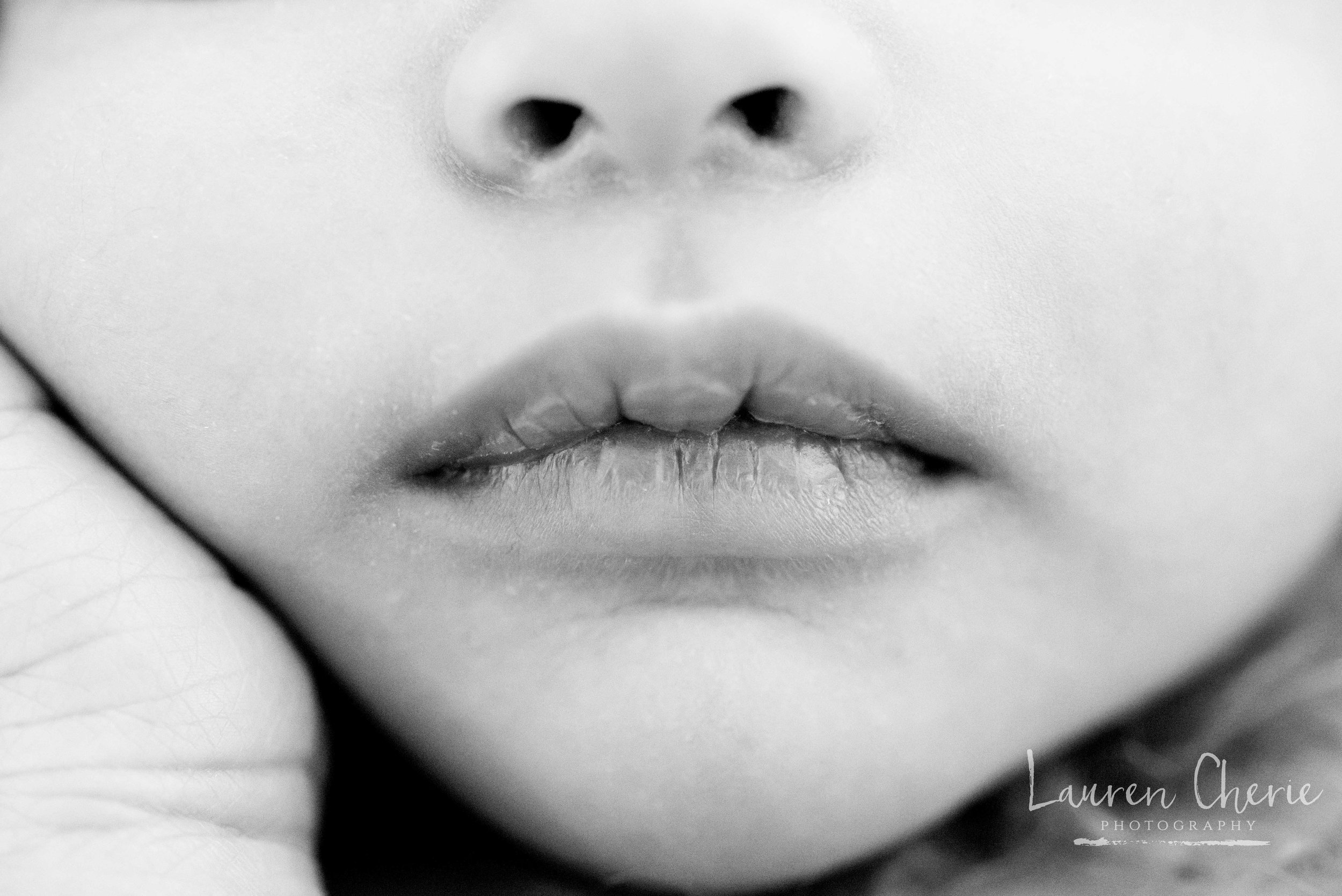 Newborn Photographer