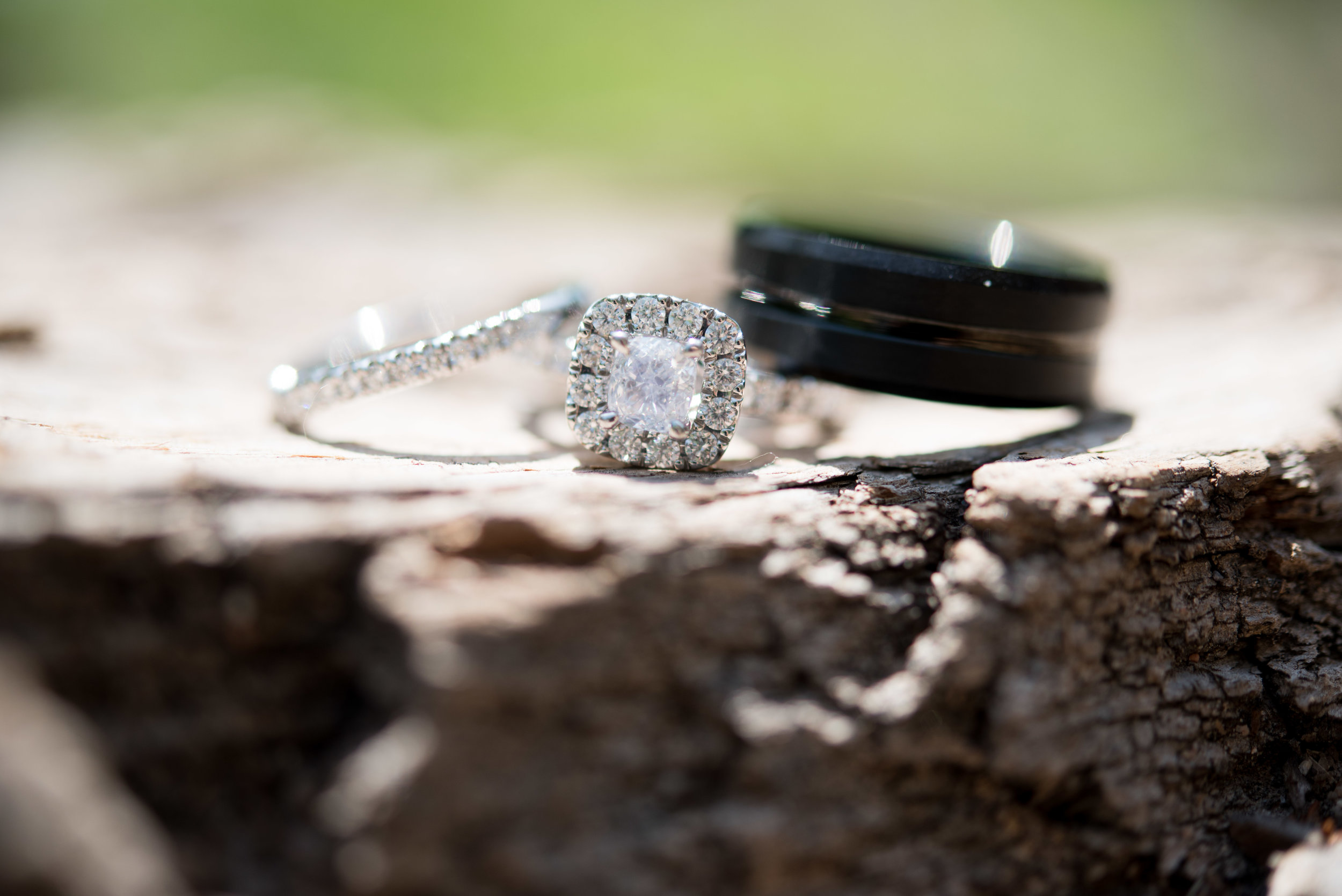 Engagement Photographer 