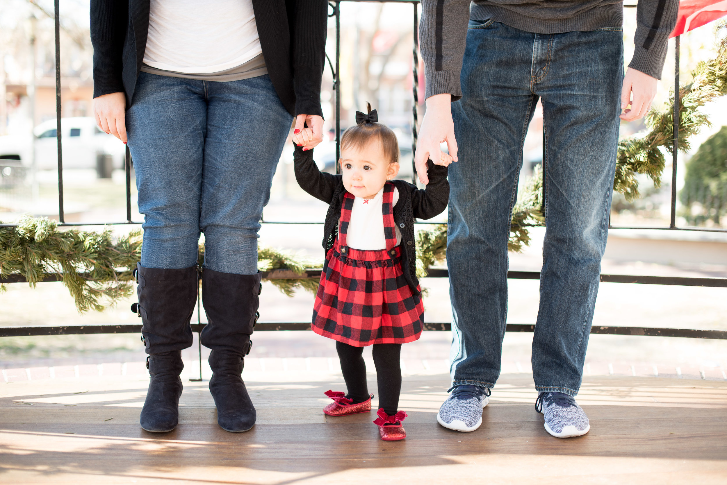 Winter Family Portraits