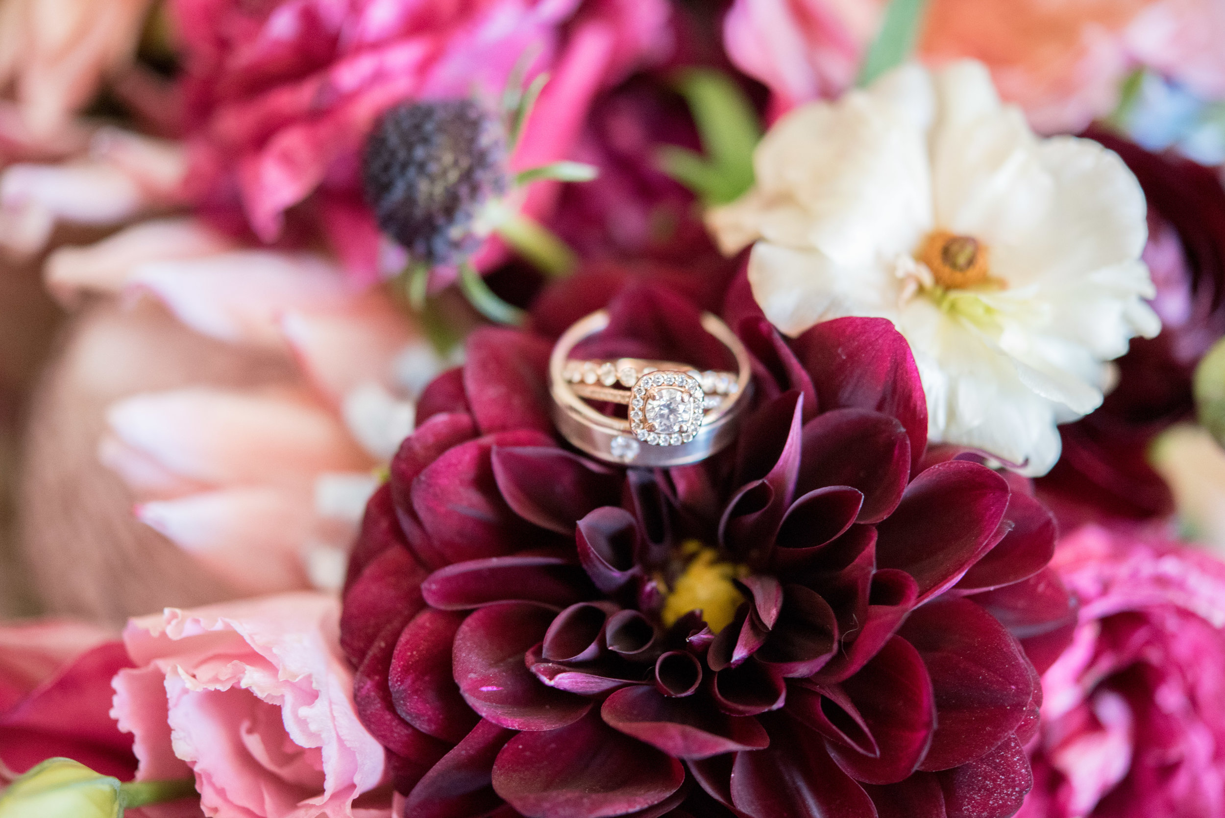 Wedding Photographer