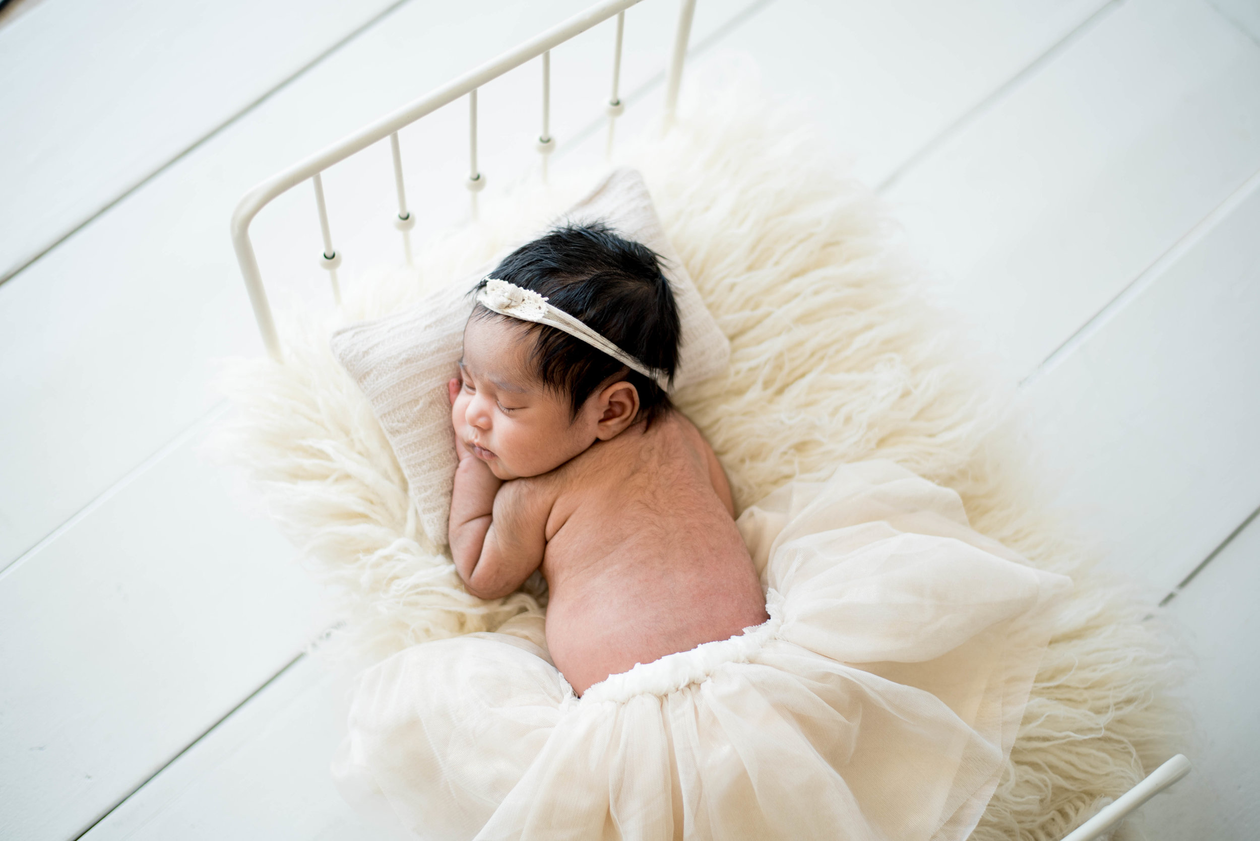 Newborn Photography in Albuquerque 