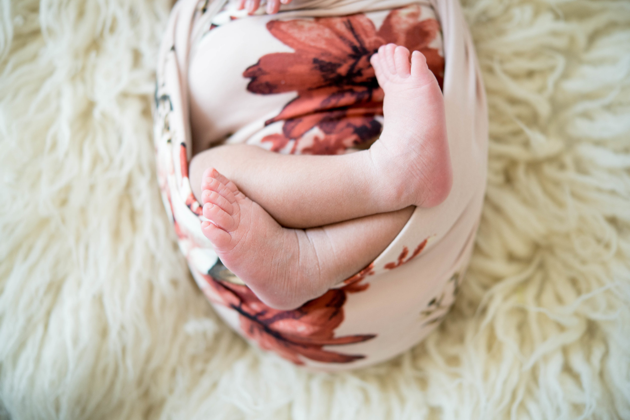 Newborn Photography in Albuquerque 