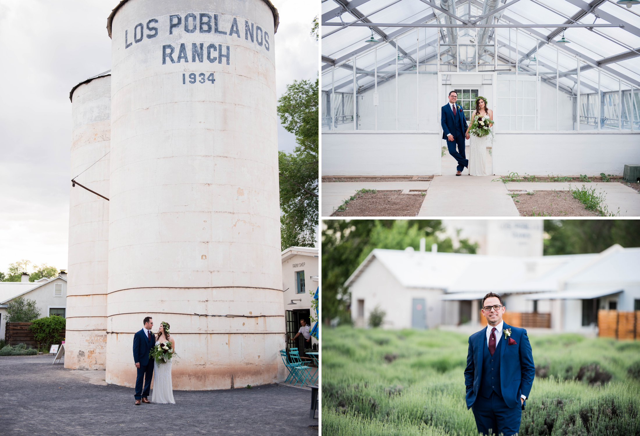 Lavender Field Wedding 