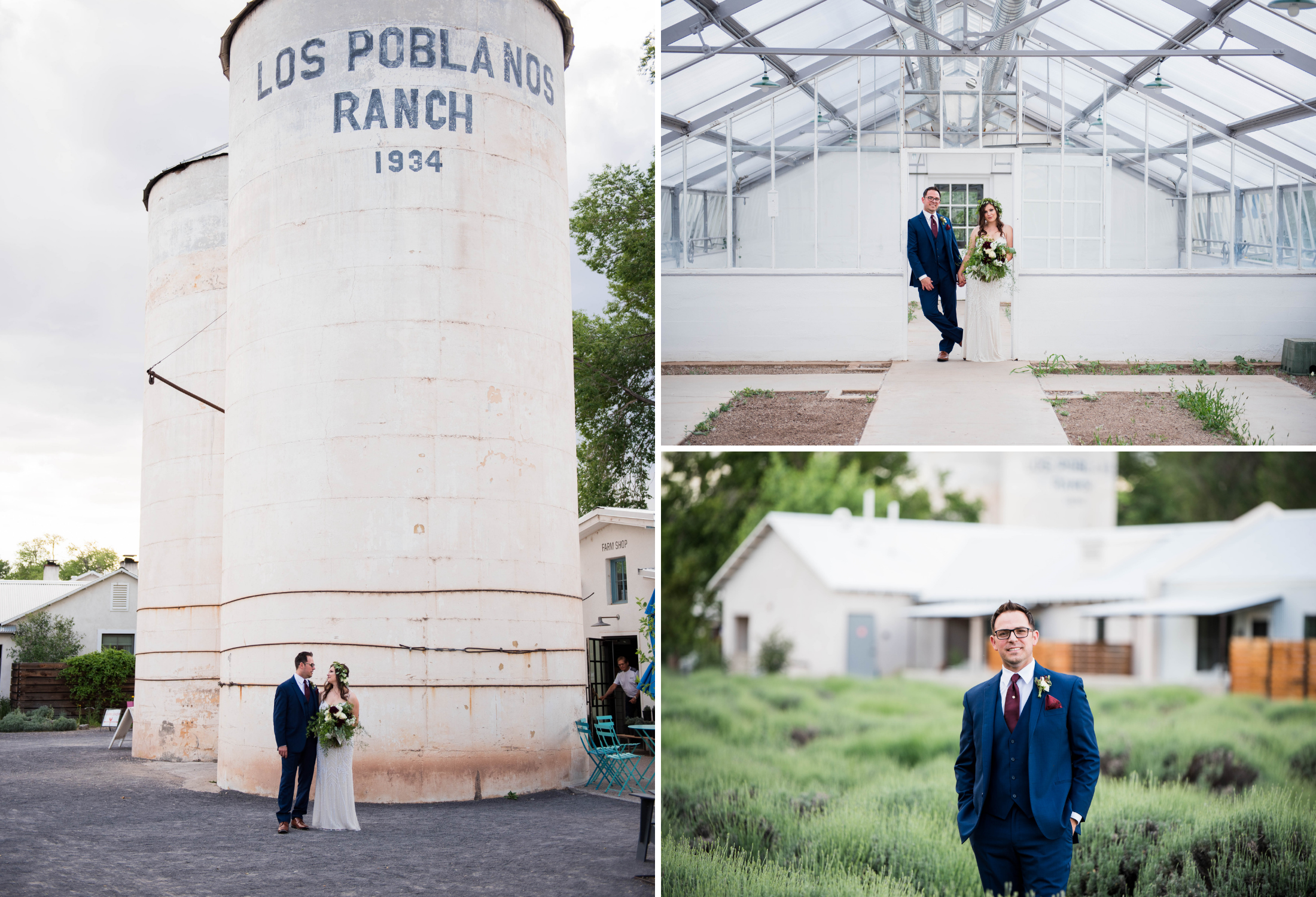 Lavender Field Wedding