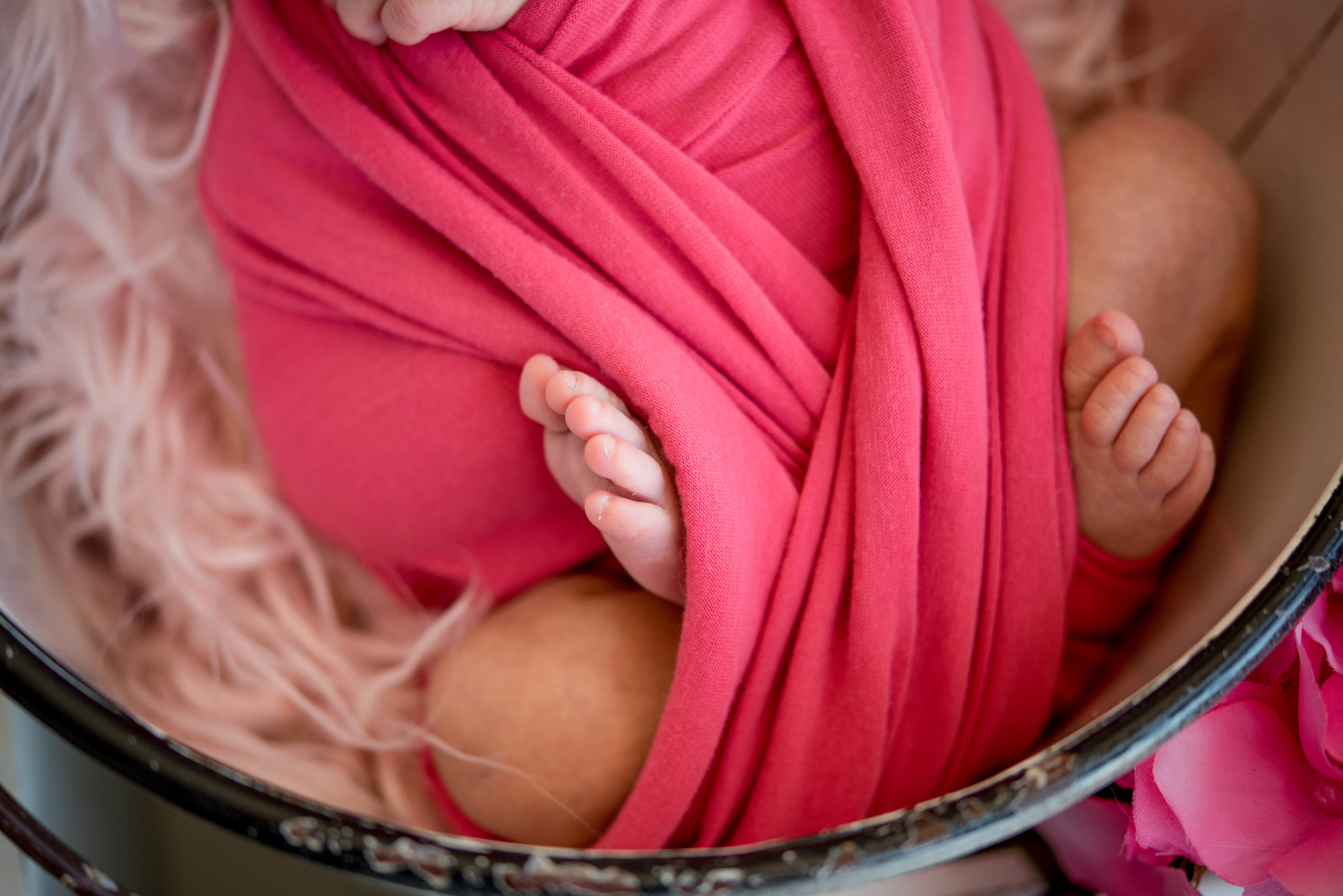 Affordable Newborn Photography in New Mexico