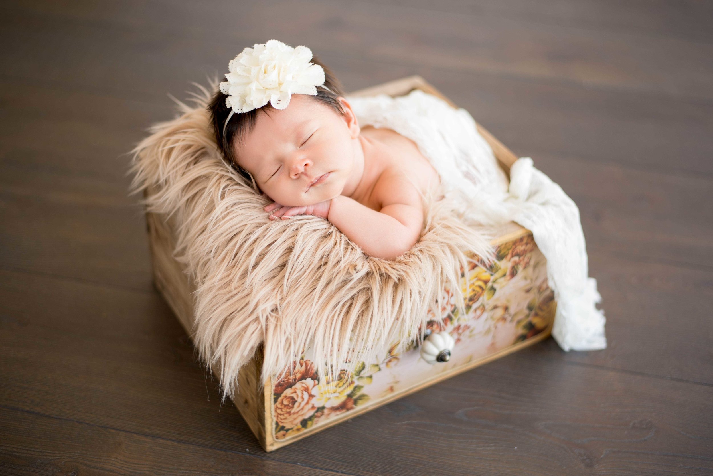 Newborn Princess Photography