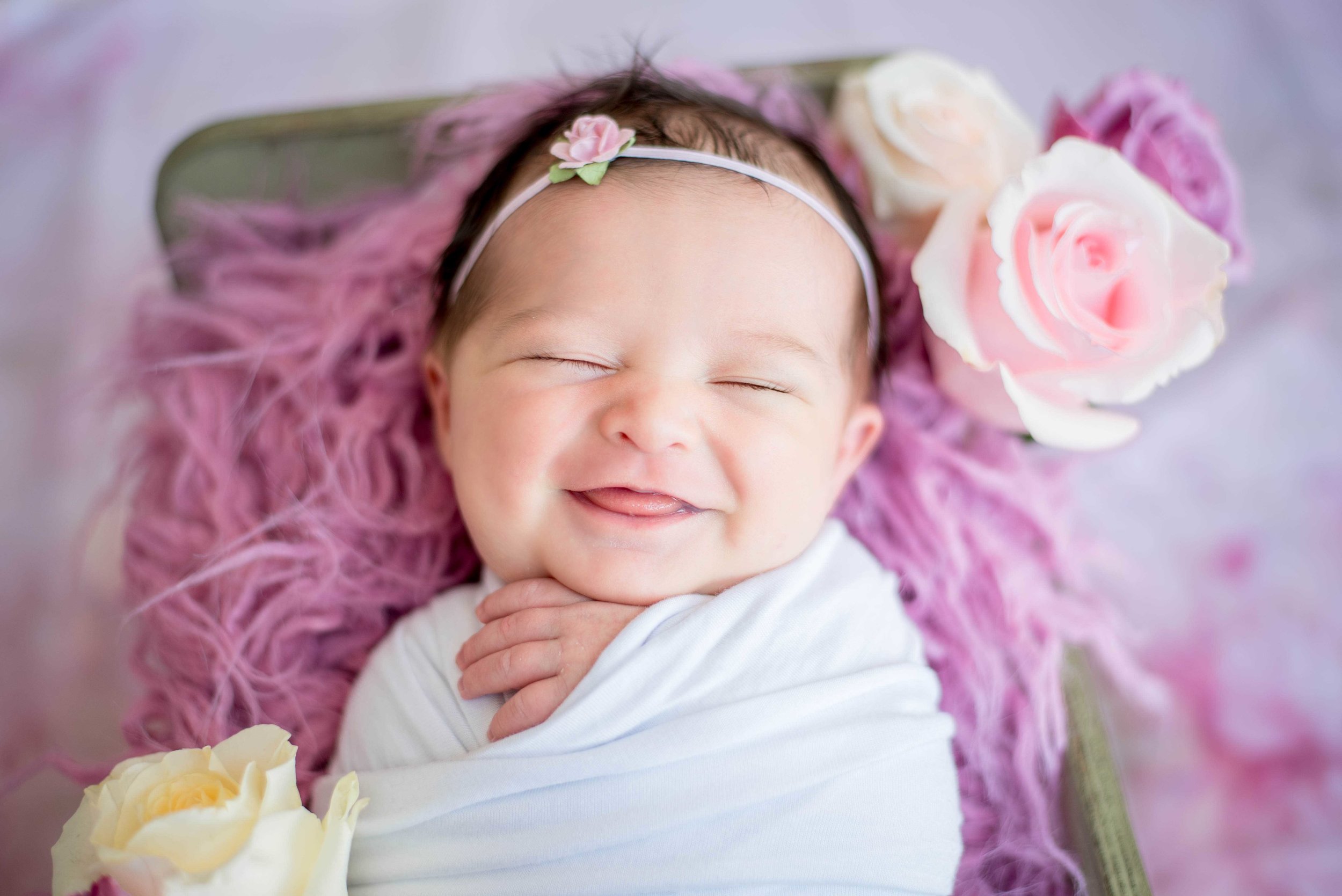 Rose Themed Newborn Photo Shoot 