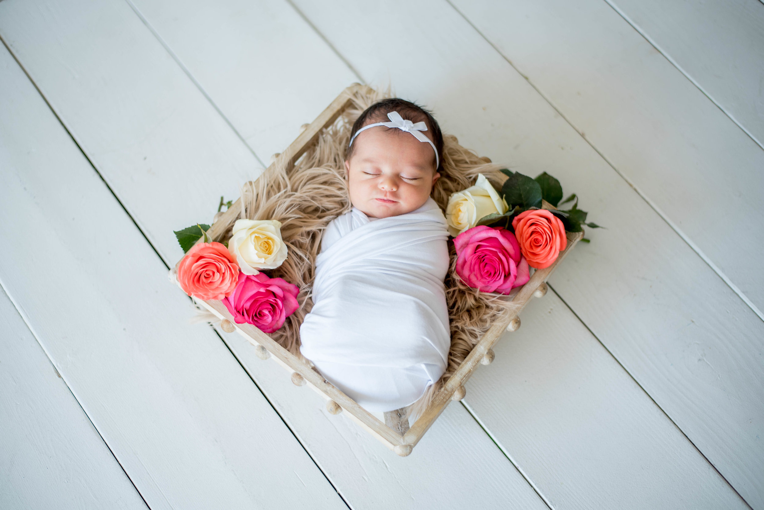 Rose Themed Newborn Photo Shoot 